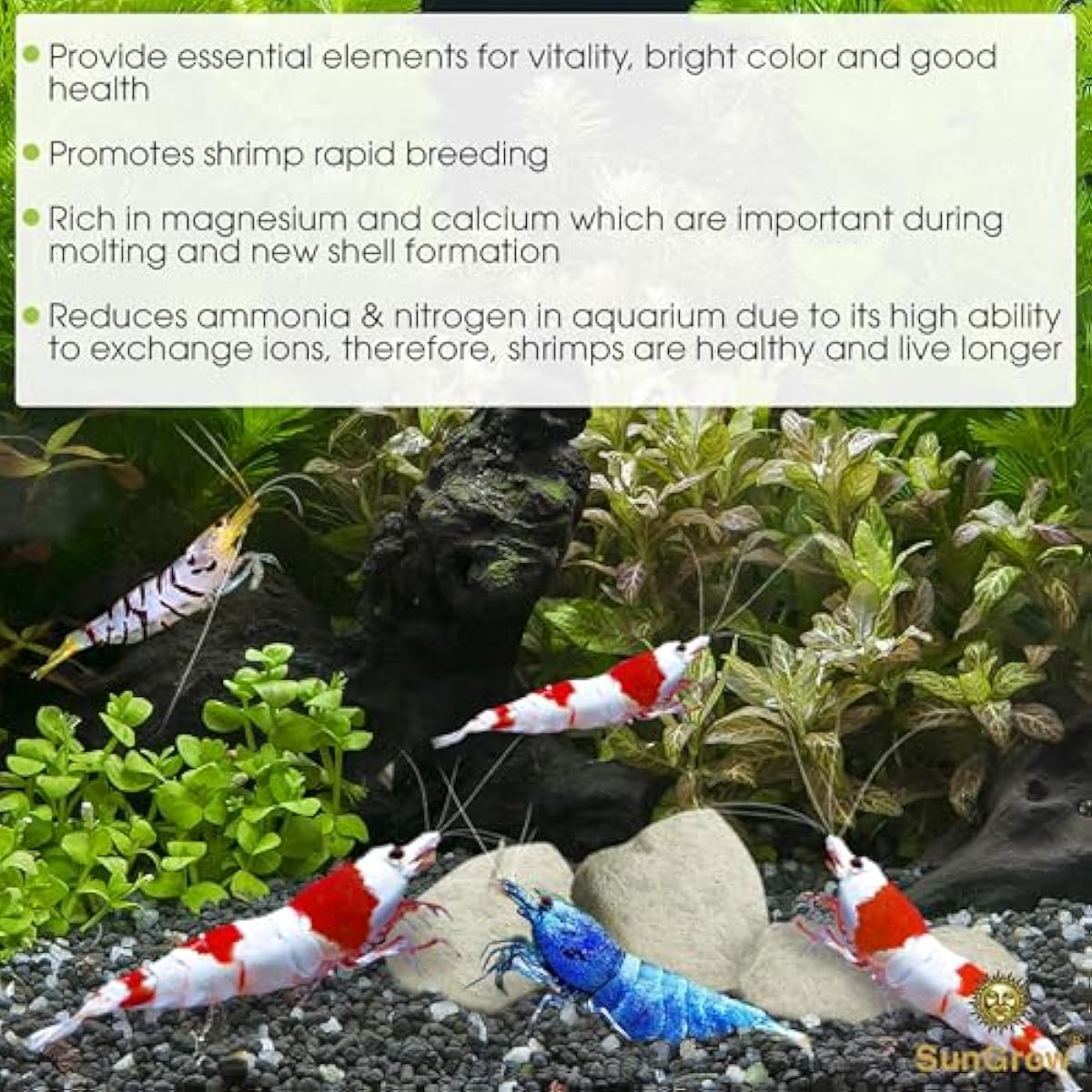 SunsGrow shrimp rocks for crayfish, hermit crab, snails, aquarium decor, crustacean care, nano tank accessories, fish tank supplies