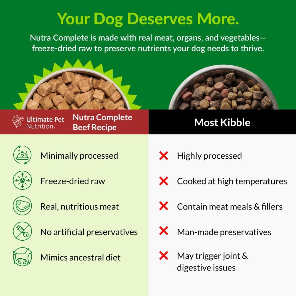 ULTIMATE PET NUTRITION 100% Freeze Dried Raw Veterinarian Formulated Dog Food with Antioxidants Prebiotics and Amino Acids 1 Pound Beef