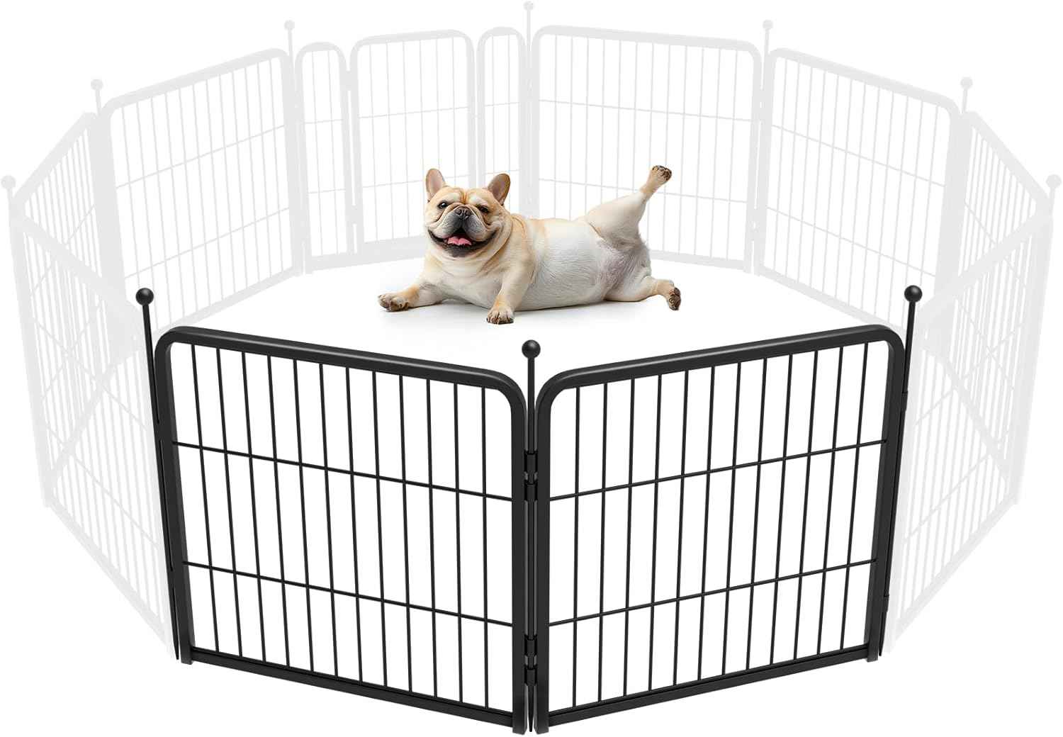 FXW Rollick Unleashed Dog Playpen for Indoor, Yard, RV Camping, 24 inch 8 Panels for Small and Puppy Dogs, Black│Patented