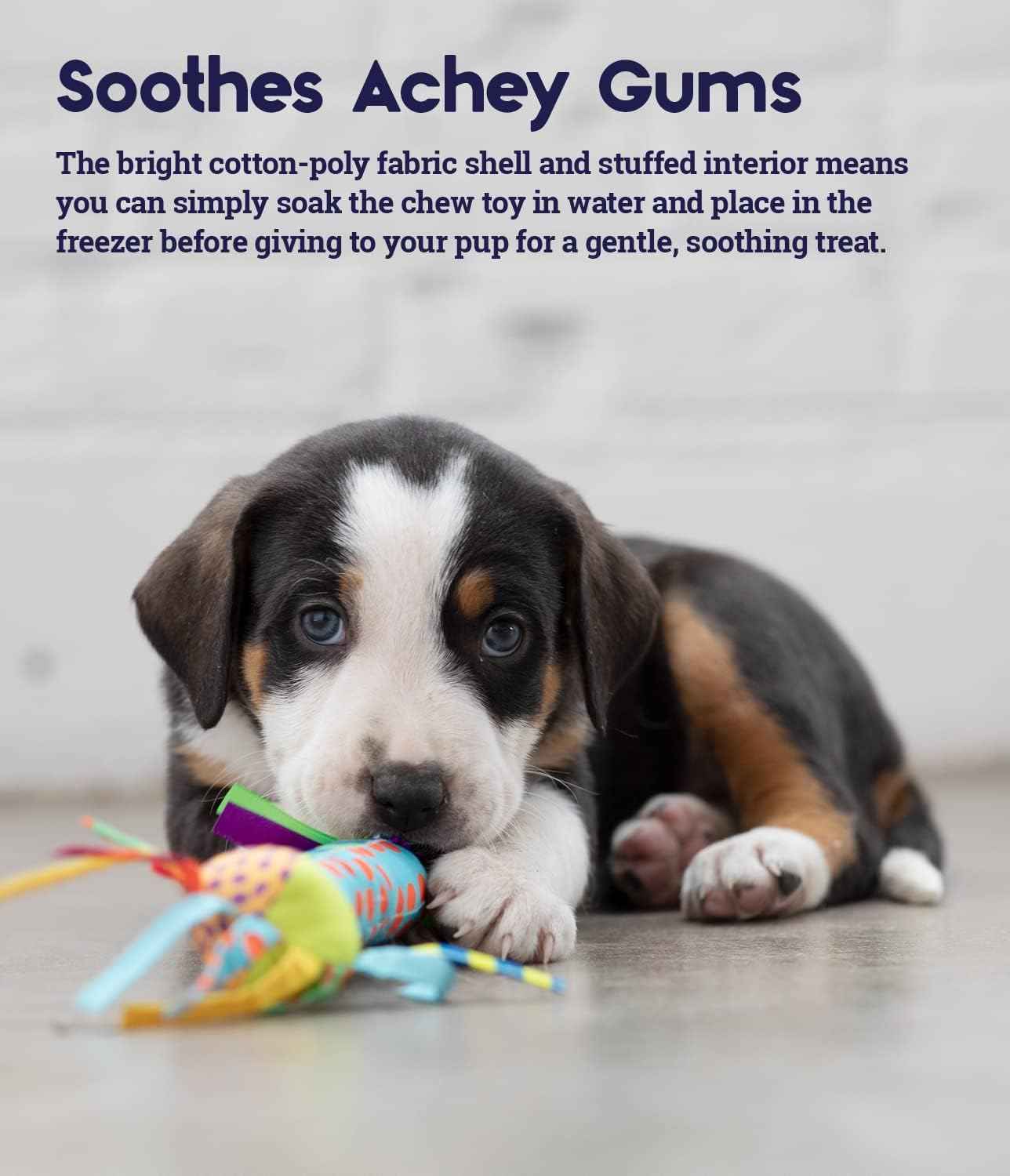 Petstages Cool Teething Stick for Dogs - Soothing Chew Toy for Teething Puppies - Freezable for Added Relief - Durable & Safe Dental Aid, Multicolor, One-Size