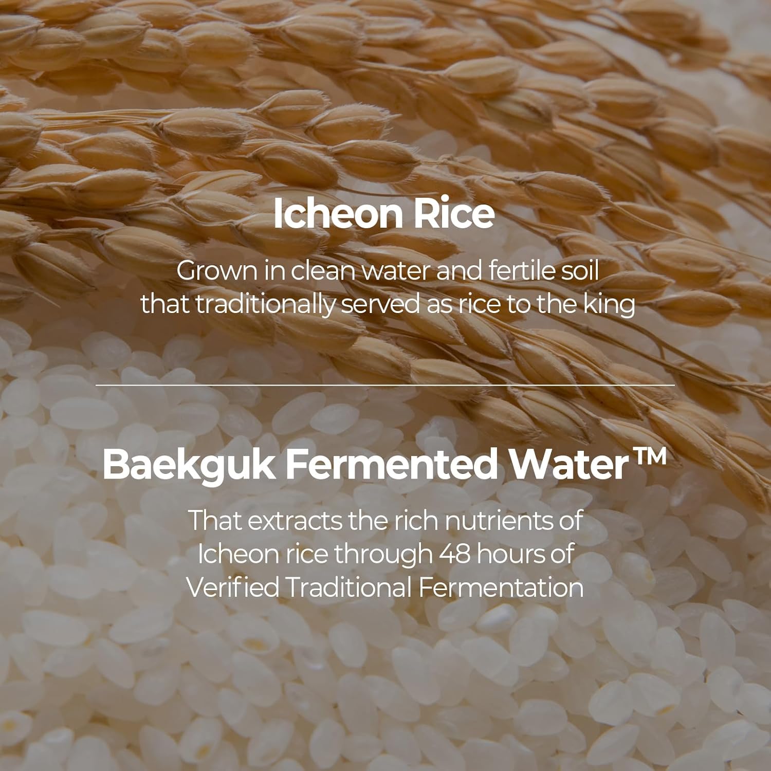 skinfood rice daily serum, 55ml/1.86fl.oz, korean skincare facial essence for glow glass skin, fermented natural rice water milk