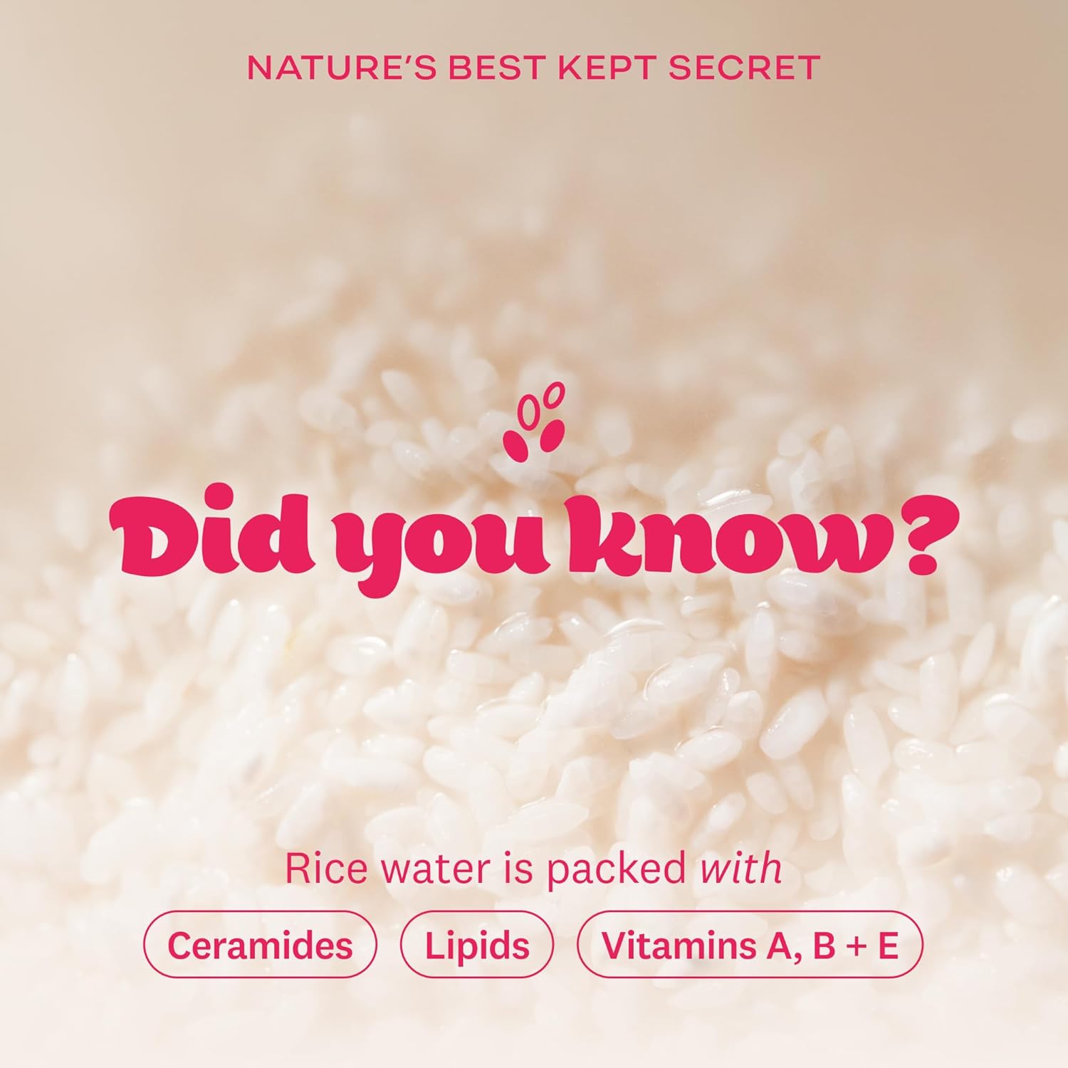 The Face Shop Rice Water Bright Foaming Facial Cleanser with Ceramide, Gentle, Hydrating, Moisturizing, Vegan, Korean Skincare for All Skin Types, 300ml
