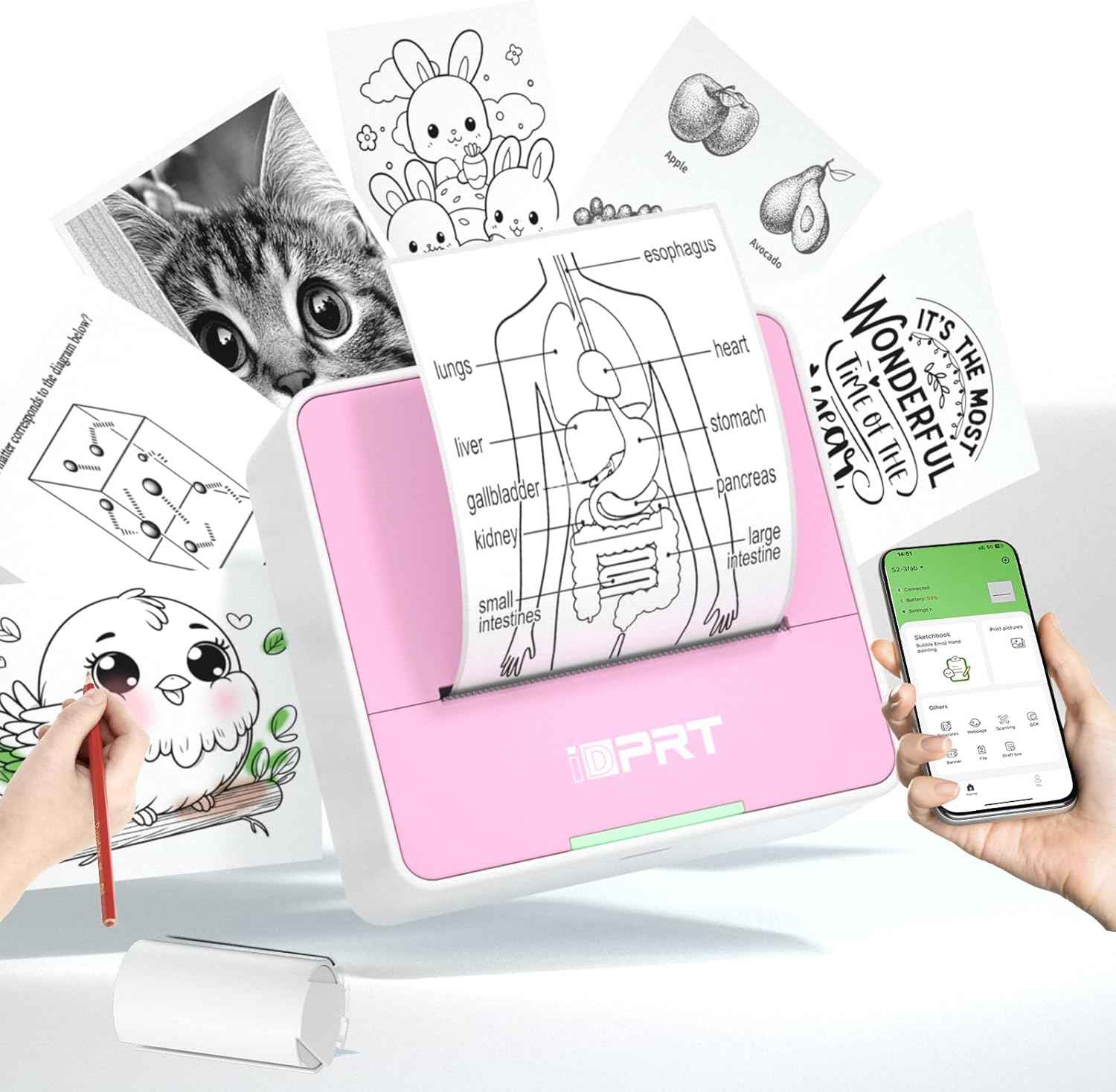 iDPRT Portable Sticker Maker Machine with 1 Roll Sticker Paper, Mini Printer Efficiently and Quickly, Thermal Printer for Study Notes, Pictures, DIY, Label, Free App with Multiple Templates, Grey
