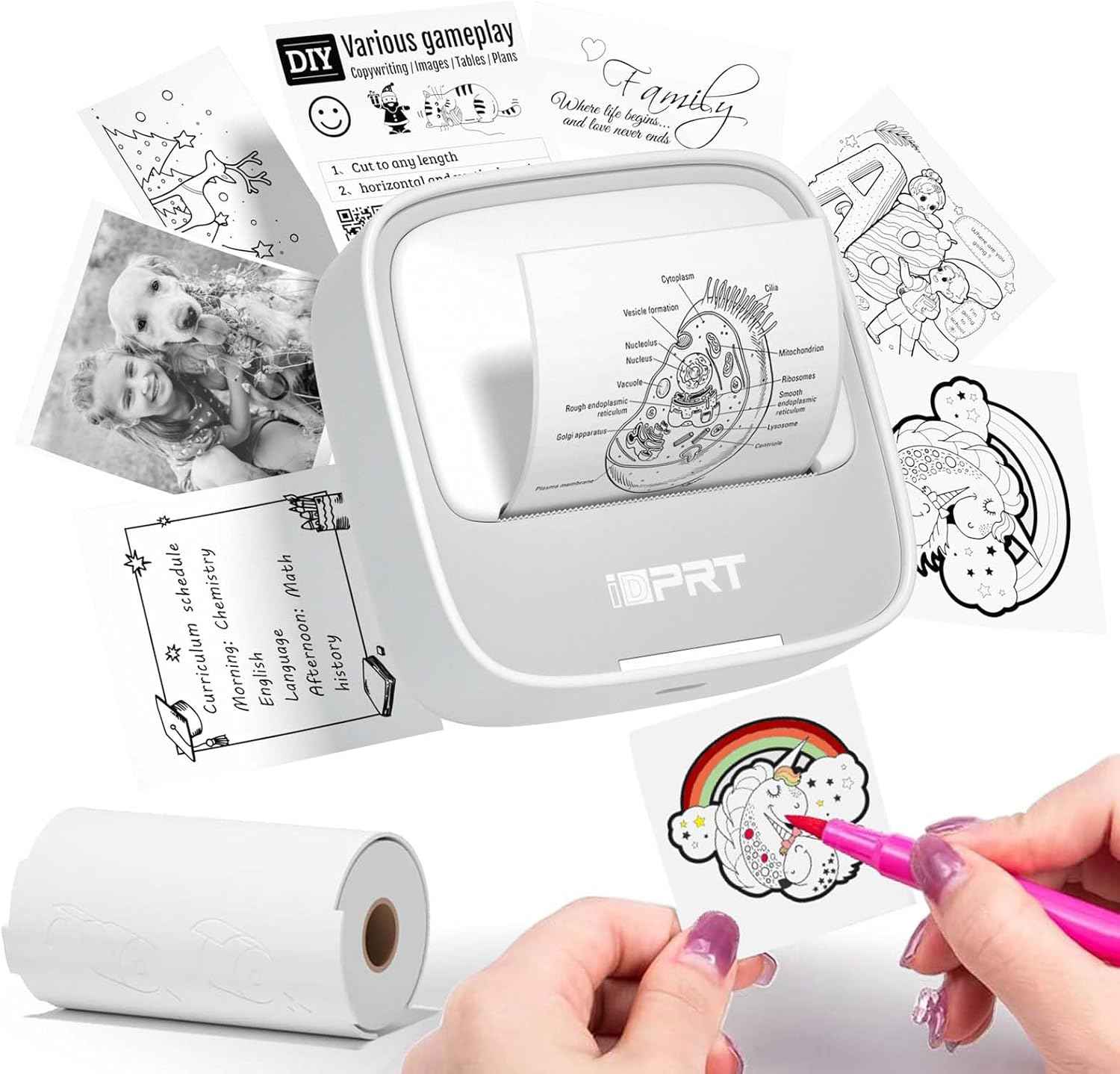 iDPRT Portable Sticker Maker Machine with 1 Roll Sticker Paper, Mini Printer Efficiently and Quickly, Thermal Printer for Study Notes, Pictures, DIY, Label, Free App with Multiple Templates, Grey