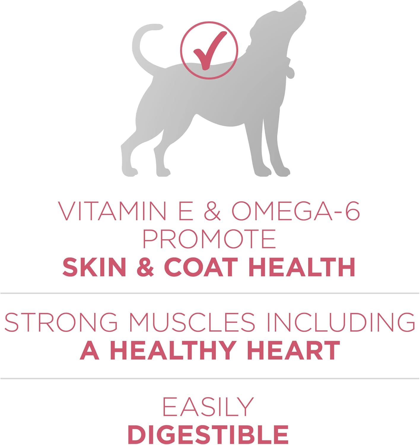 purina one natural sensitive stomach dry dog food plus skin & coat formula salmon 31.1 lb bag
