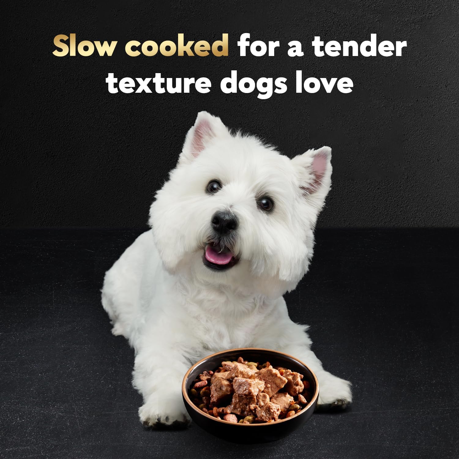 cesar steak lovers variety pack adult wet dog food real meat 36 count 3.5 oz easy peel trays