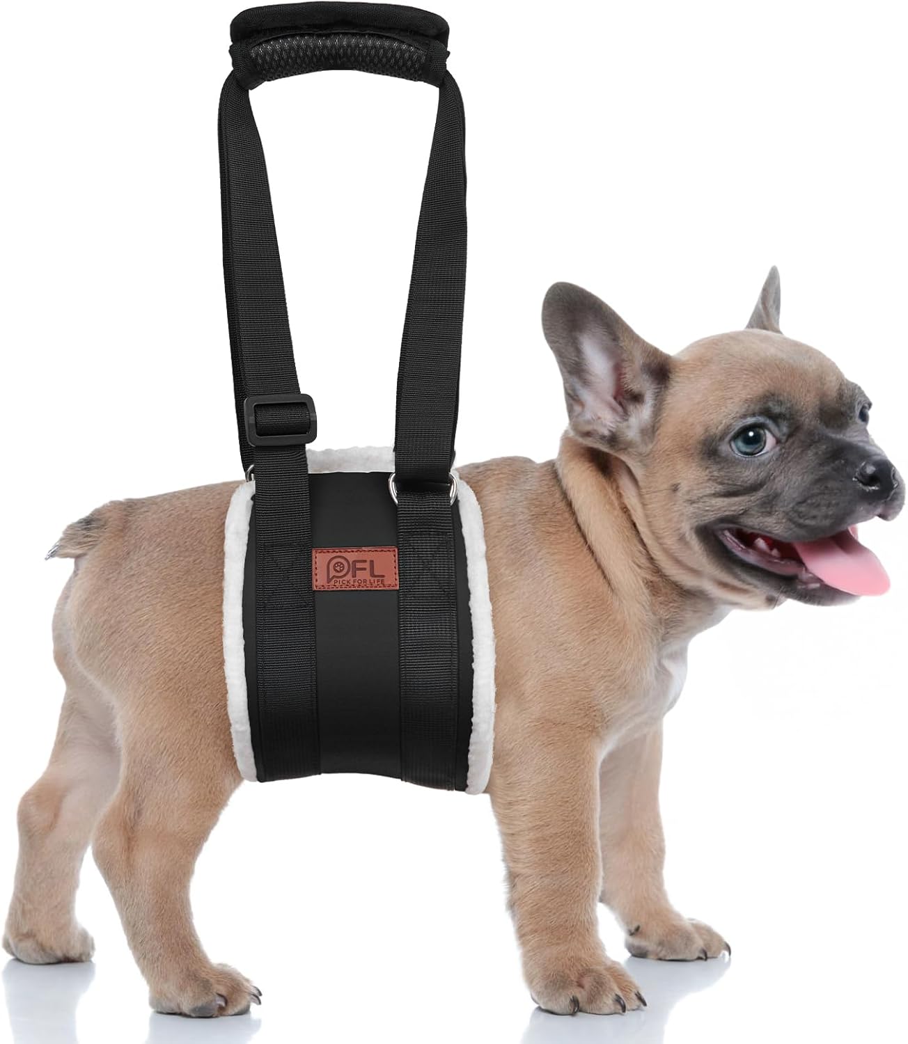 Adjustable dog lift harness for large dogs hind leg support with soft lift and rehab features