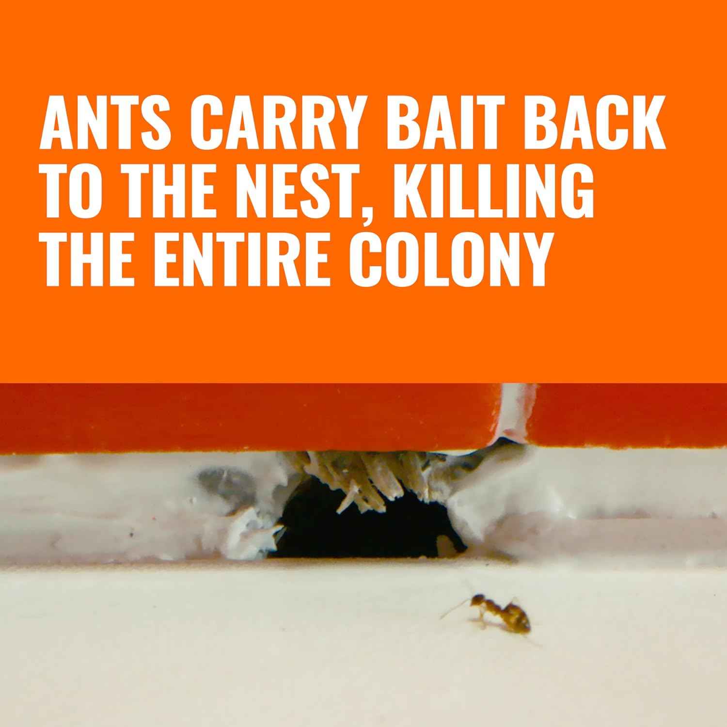 TERRO Ant Killer Bait Stations T300-3SR - Liquid Bait to Eliminate Ants - 18 Count Stations for Effective Indoor Ant Control