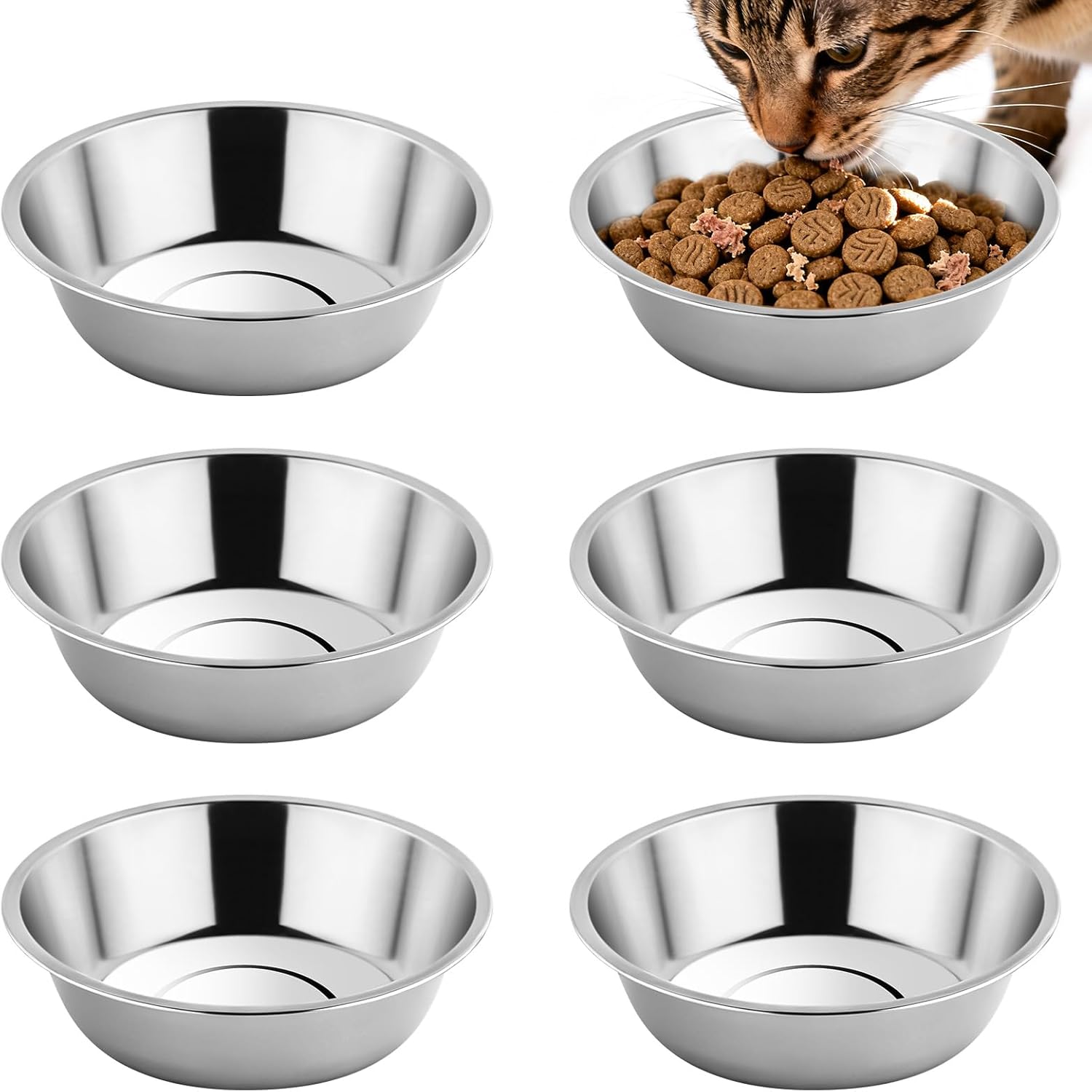 Tifanso 6PCS stainless steel cat bowls, 5.6" shallow wide whisker friendly metal kitten plates, indoor pet food tray, dishwasher safe