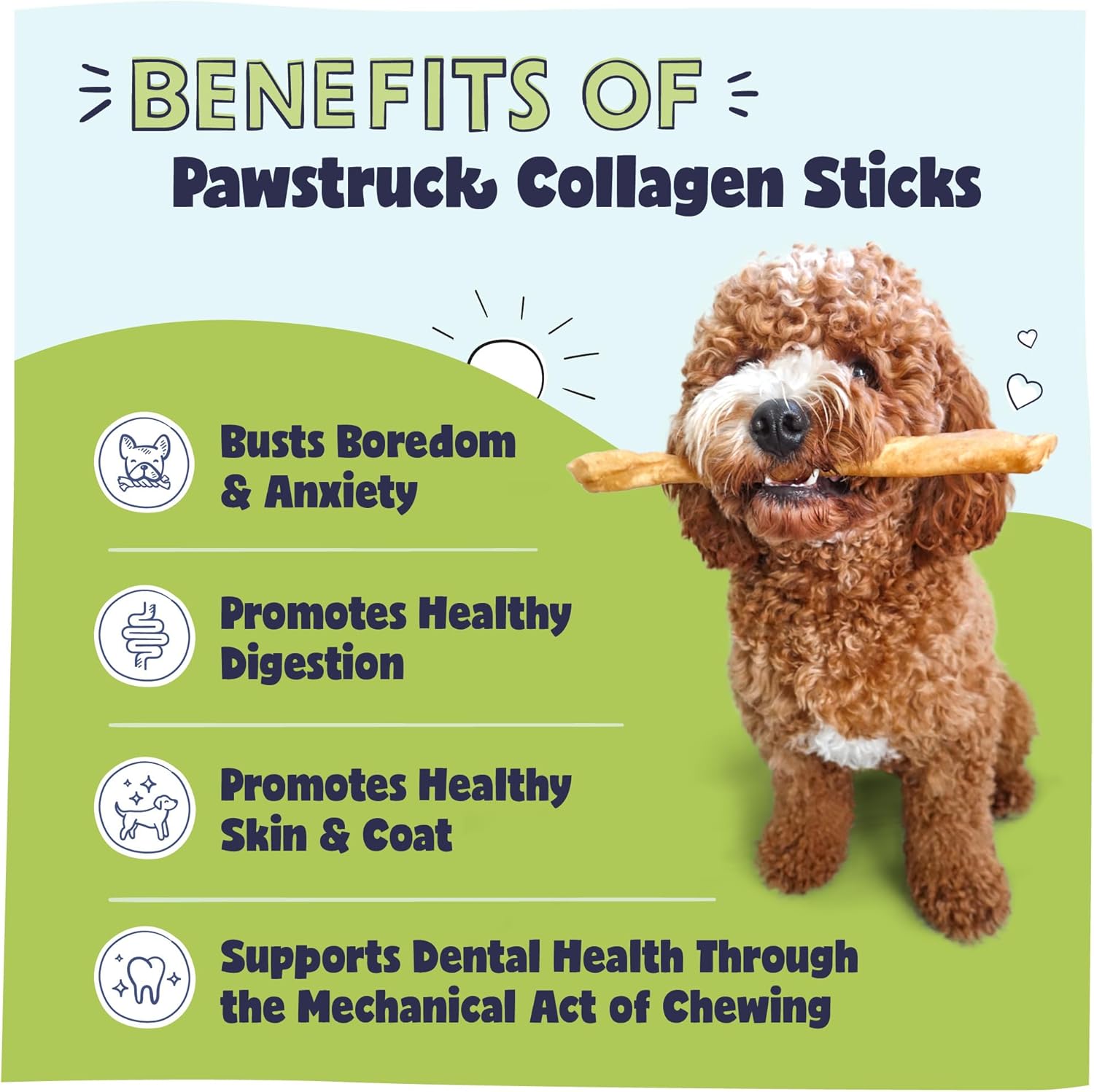 Pawstruck natural large 12 inch beef collagen sticks for dogs - long lasting rawhide alternative with high protein and chondroitin - 5 pack