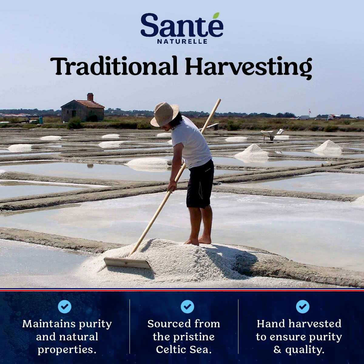 sante naturelle celtic salt 1.1lb french mineral sea salt organic rich in 82+ minerals hand harvested sal celtica