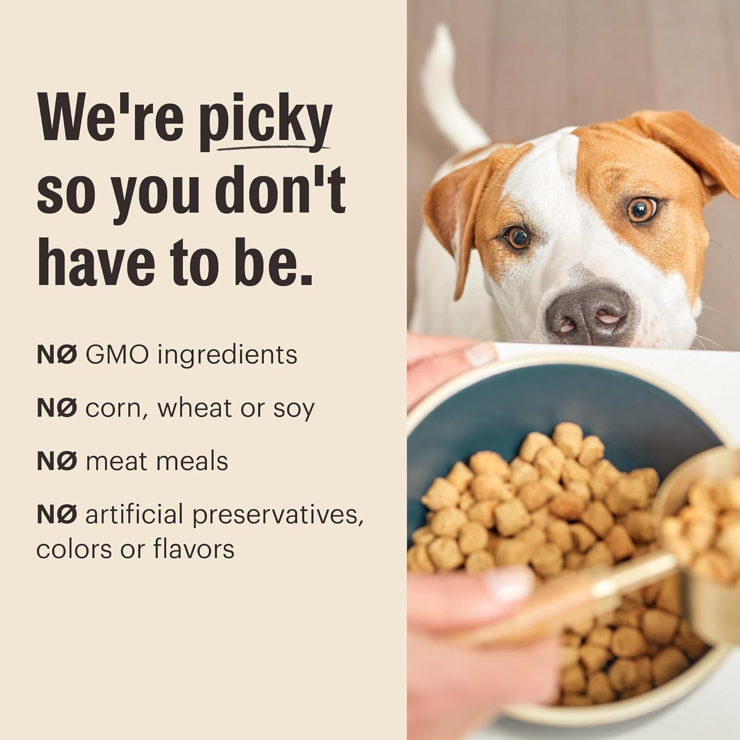 honest kitchen whole food clusters grain free turkey dry dog food 20 lb bag