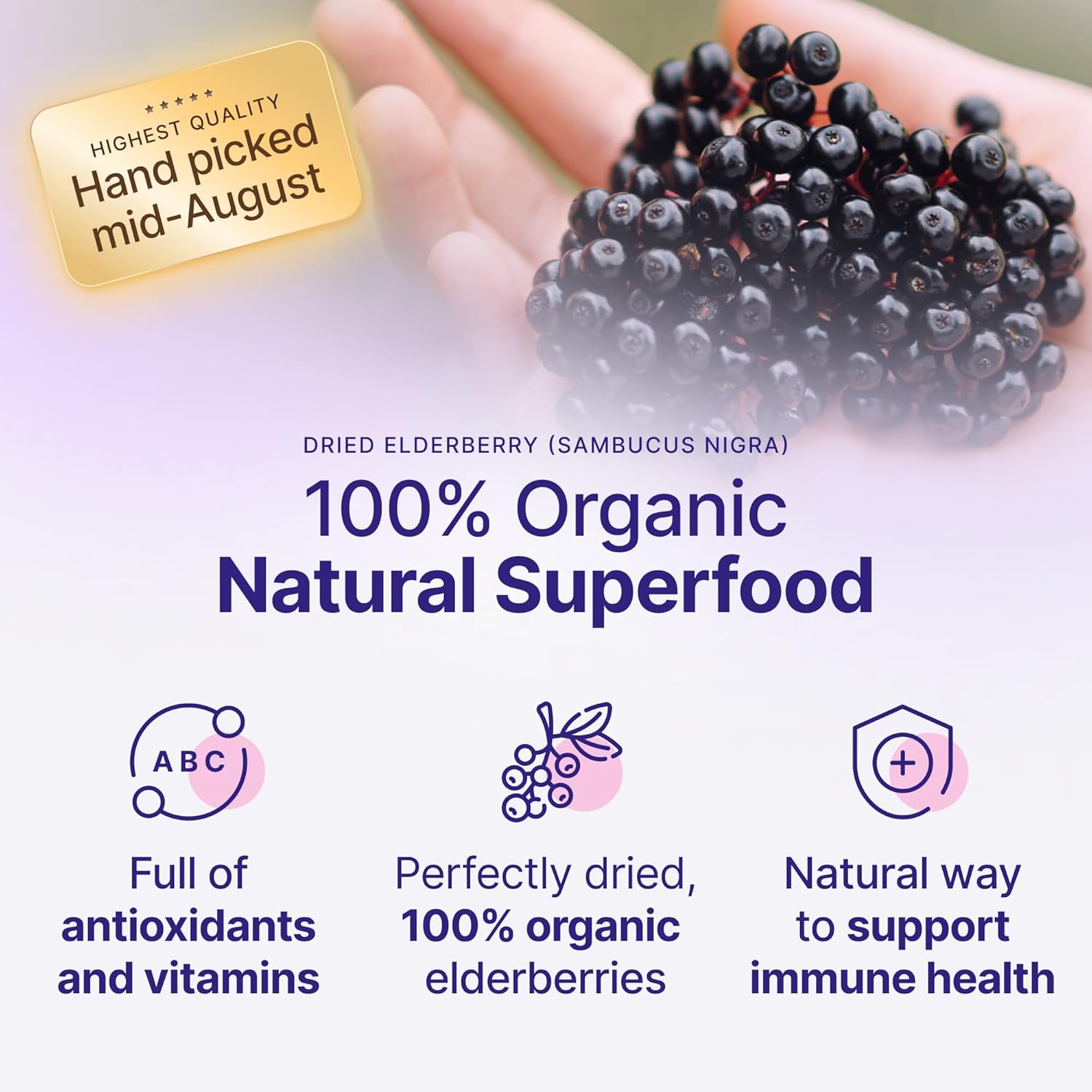usda-certified 100% organic dried elderberries 1lb bulk non-irradiated non-gmo whole black elderberry