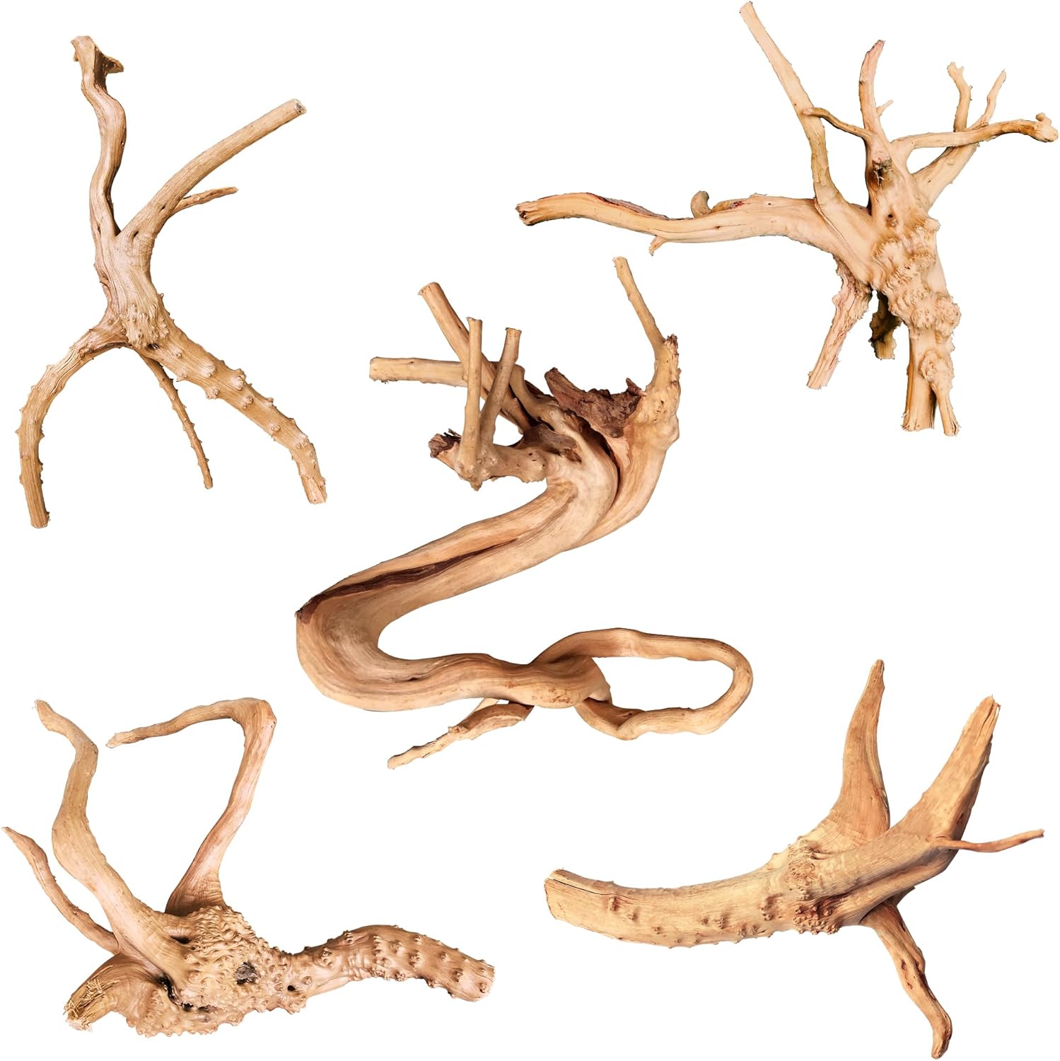 majoywoo Natural Coral Driftwood for Aquarium Decor, Assorted Driftwood Branch 6-10" 3 Pcs, Reptile Decorations