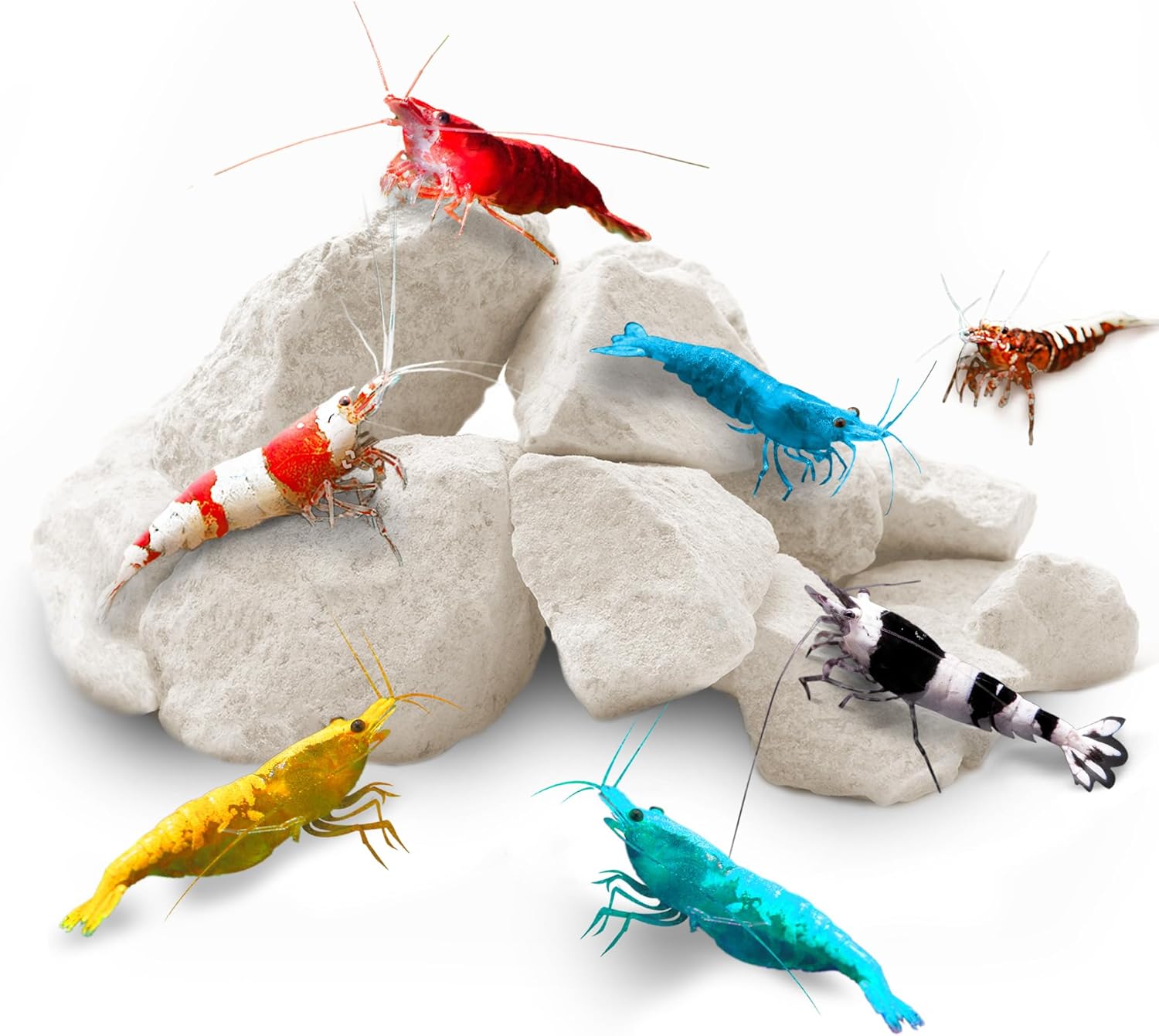 SunsGrow shrimp rocks for crayfish, hermit crab, snails, aquarium decor, crustacean care, nano tank accessories, fish tank supplies