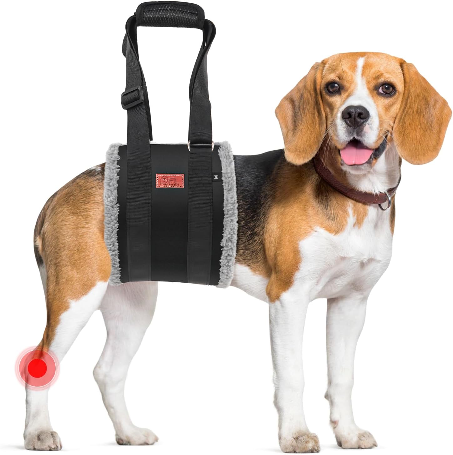 Adjustable dog lift harness for large dogs hind leg support with soft lift and rehab features