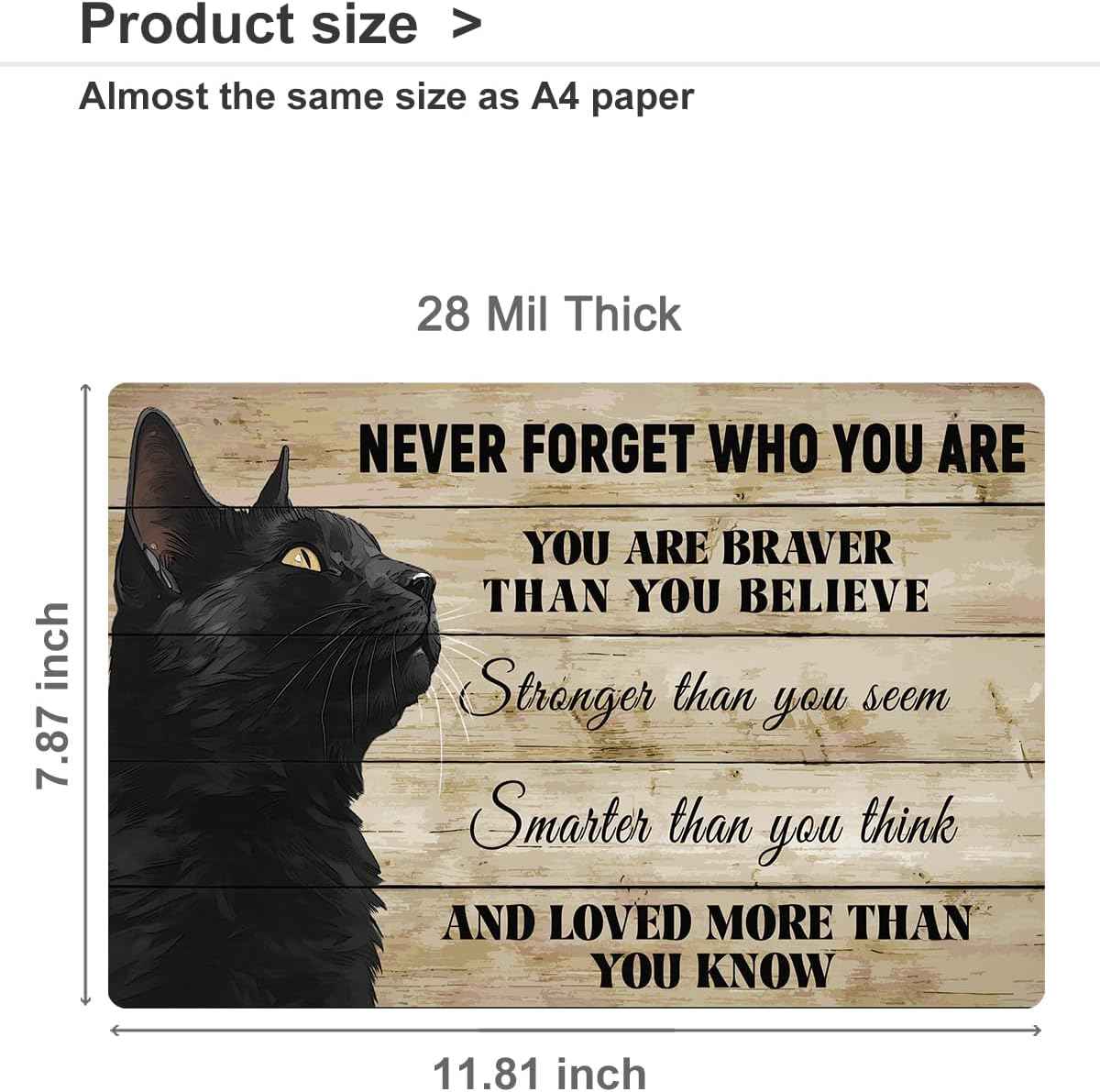 ALKB Never Forget Who You Are. Retro Metal Sign Black Cat Lovers Gift, Inspirational Wall Art Vintage Cat Decor for Home,Office,Bedroom 8 x 12 Inch