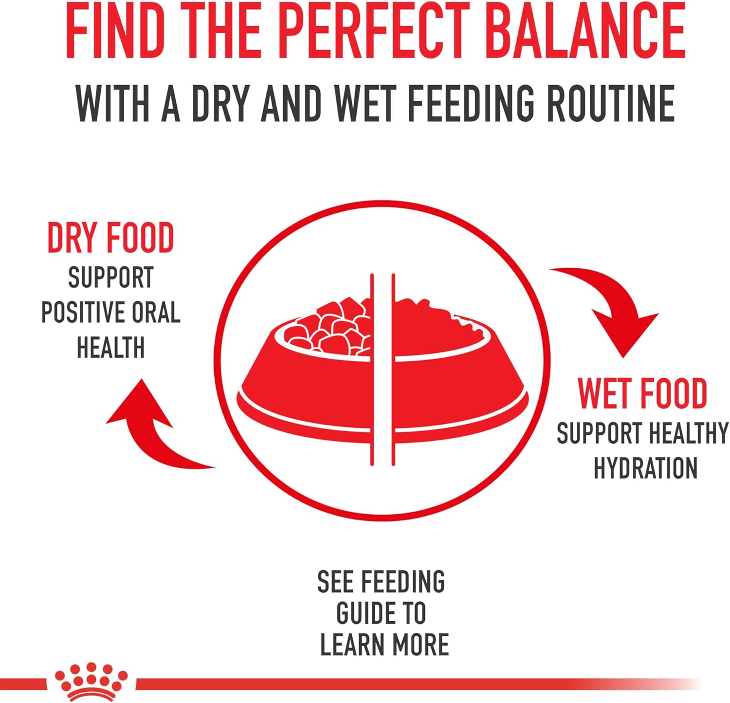royal canin small adult dry dog food, 14 lb bag for small breed dogs aged 10 months to 8 years