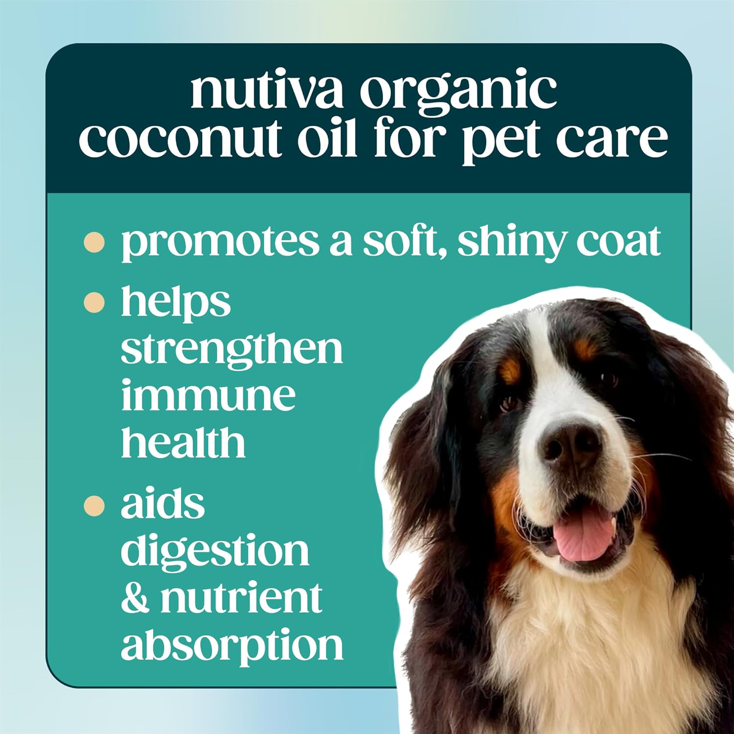 nutiva organic cold-pressed unrefined 15-ounce virgin coconut oil non-gmo sustainably farmed coconuts