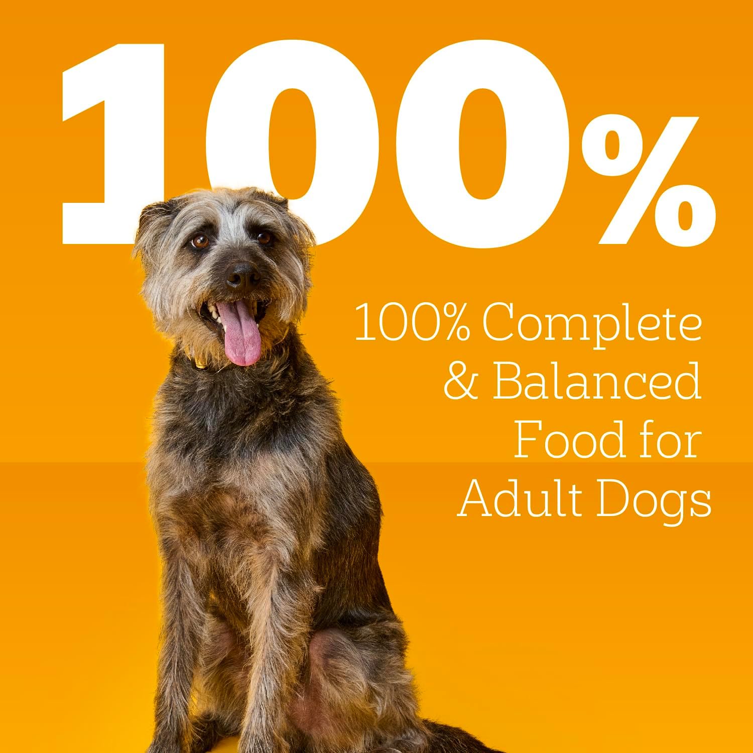 pedigree-chopped-ground-dinner-wet-dog-food-filet-mignon-beef-variety-pack