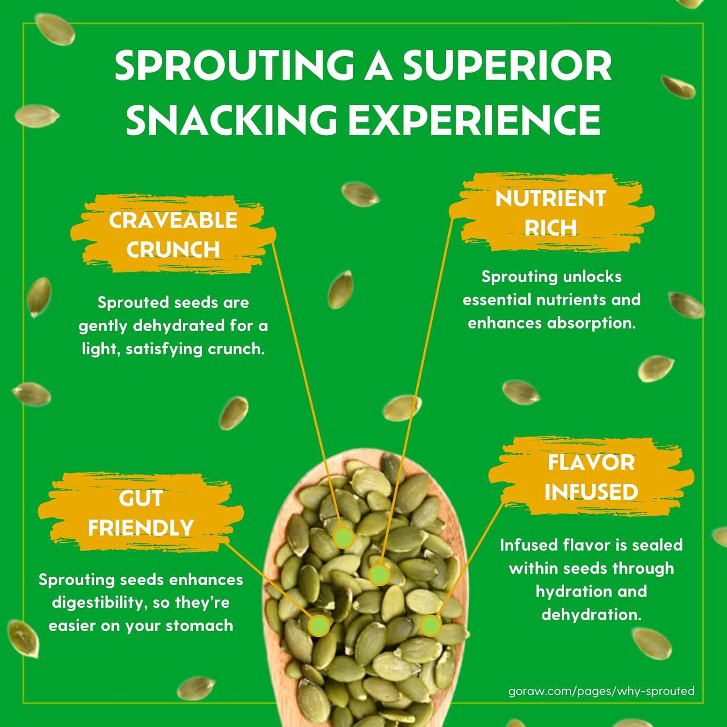 Go Raw Organic Sprouted Pumpkin Seeds, 14 Oz, High-Protein, Gluten-Free, Non-GMO Verified, Vegan, Nut-Free