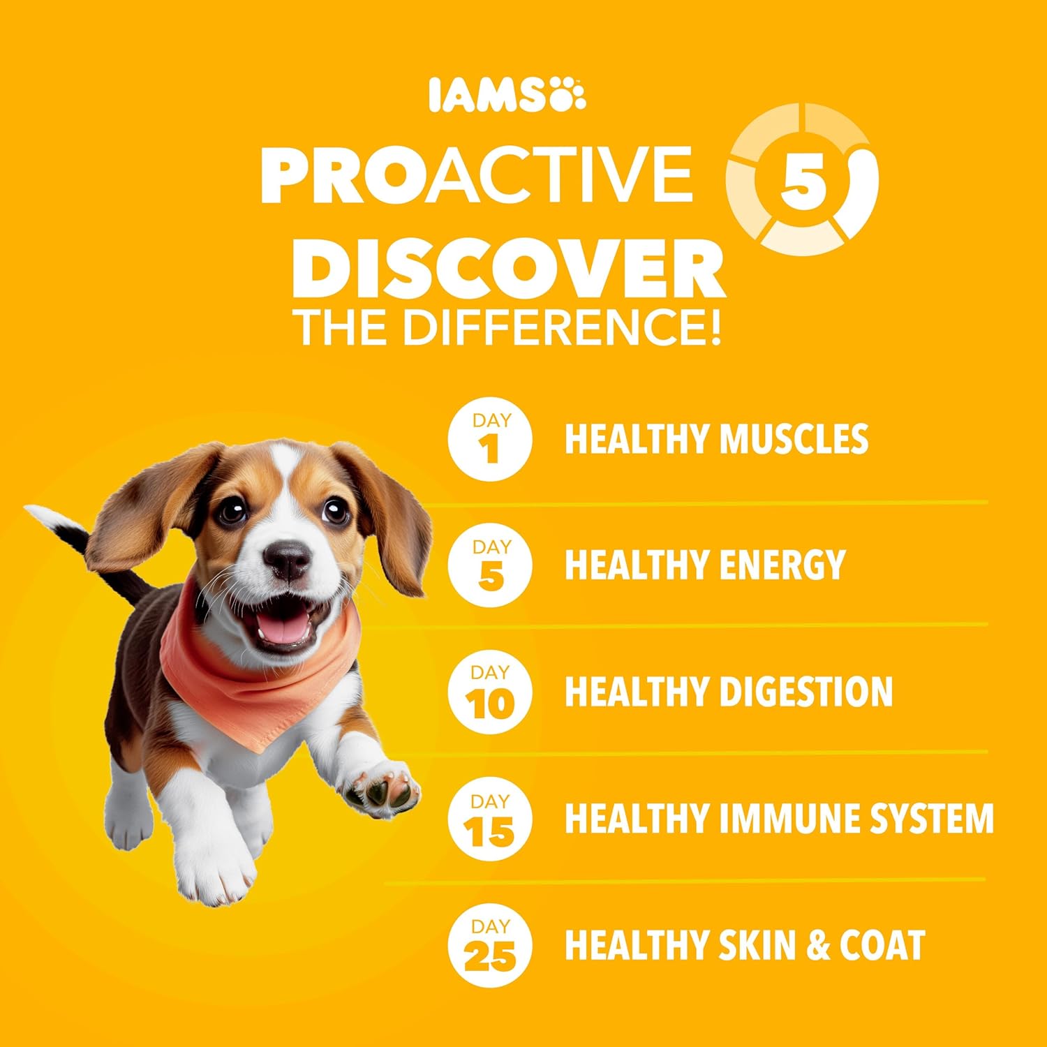 iams proactive health large breed puppy food with real chicken 30.6 lb bag for balanced growth and development