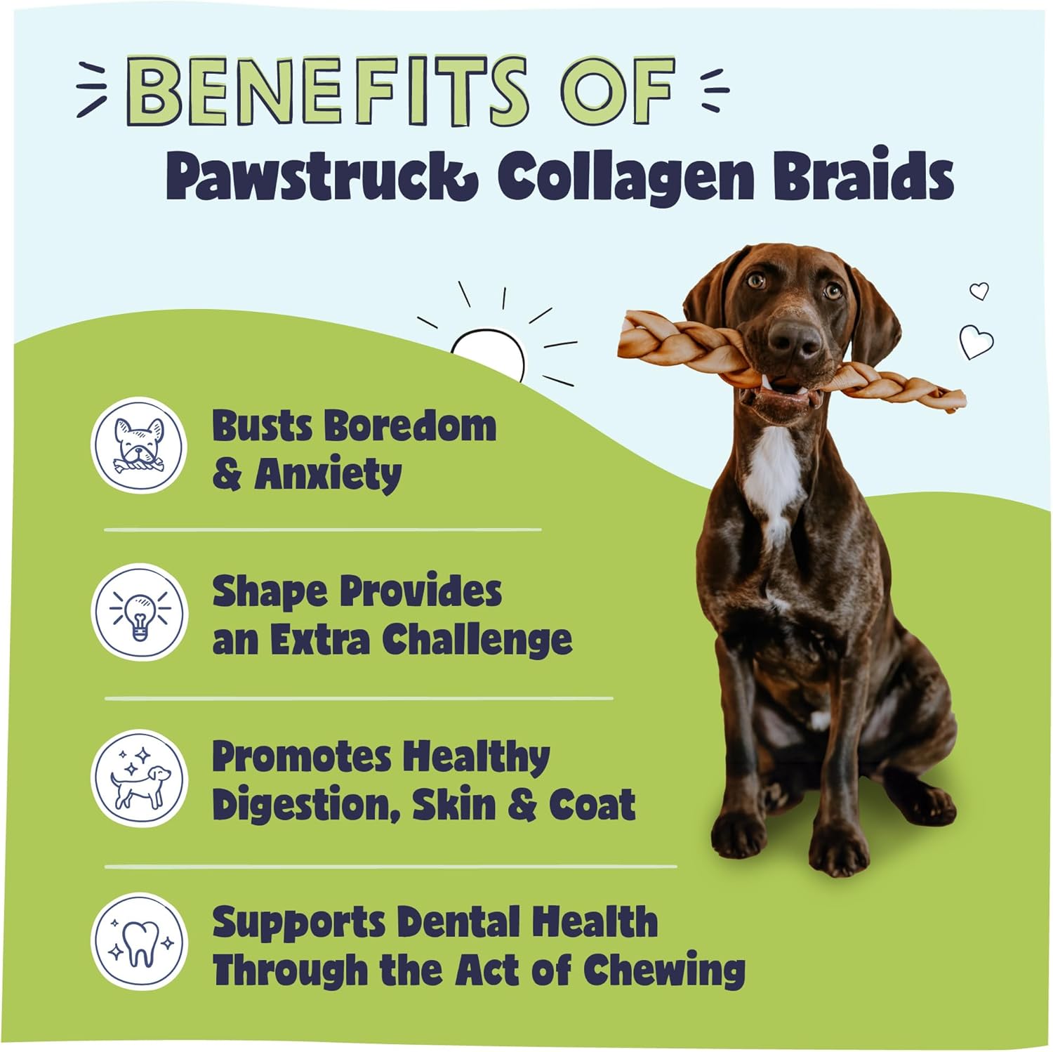Pawstruck natural collagen braids for dogs, 3 pack, long-lasting rawhide alternative with chondroitin and glucosamine, 10-13 inches, large size