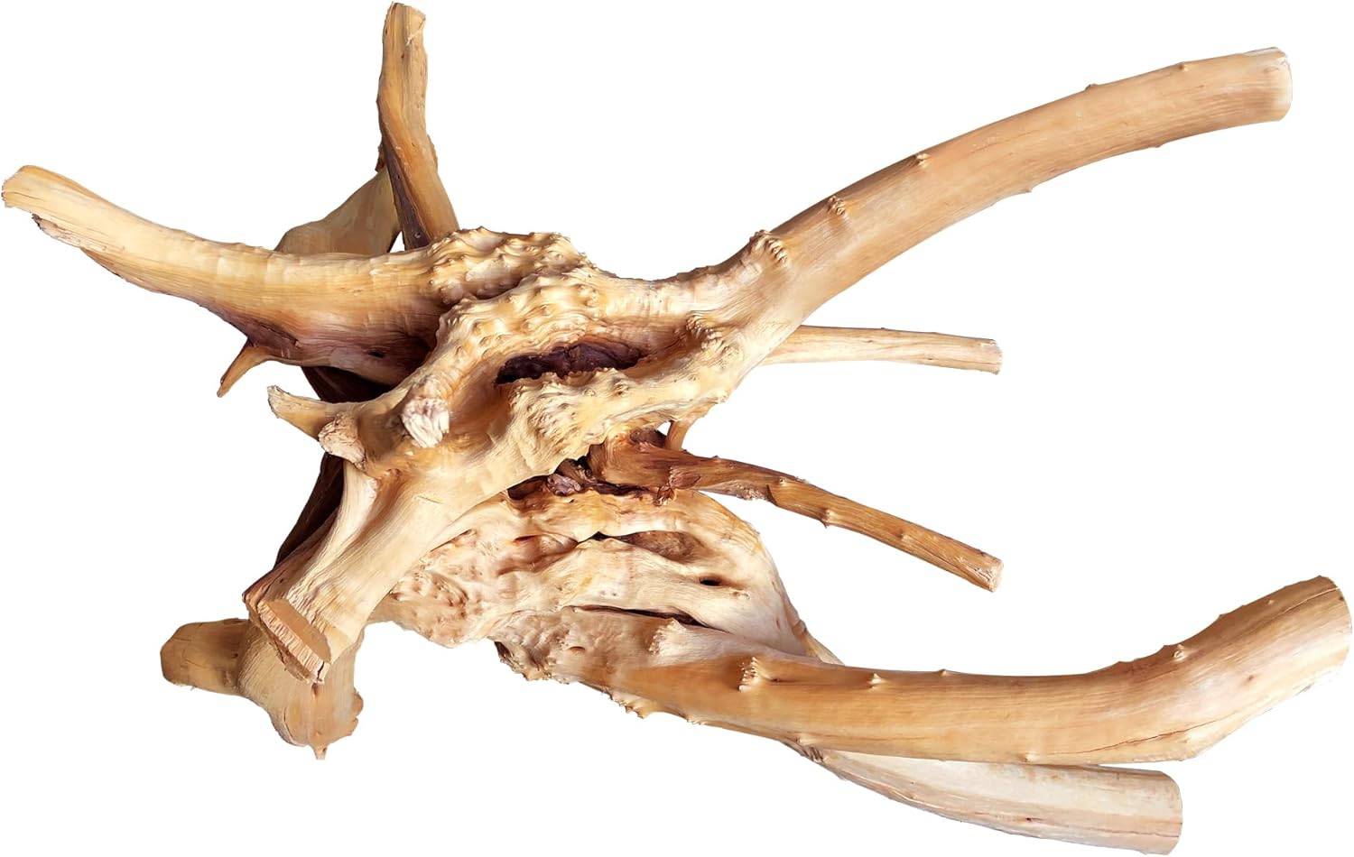 majoywoo Natural Coral Driftwood for Aquarium Decor, Assorted Driftwood Branch 6-10" 3 Pcs, Reptile Decorations