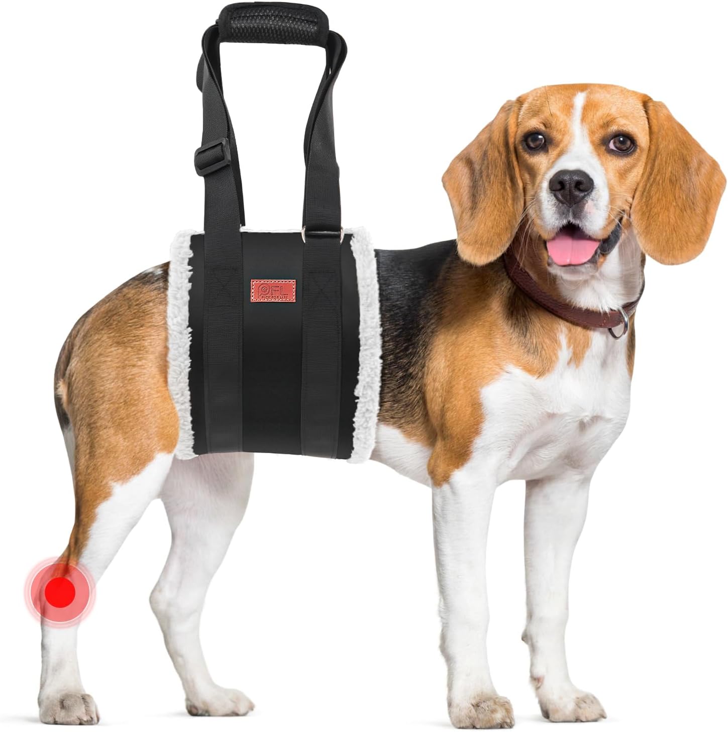 Adjustable dog lift harness for large dogs hind leg support with soft lift and rehab features