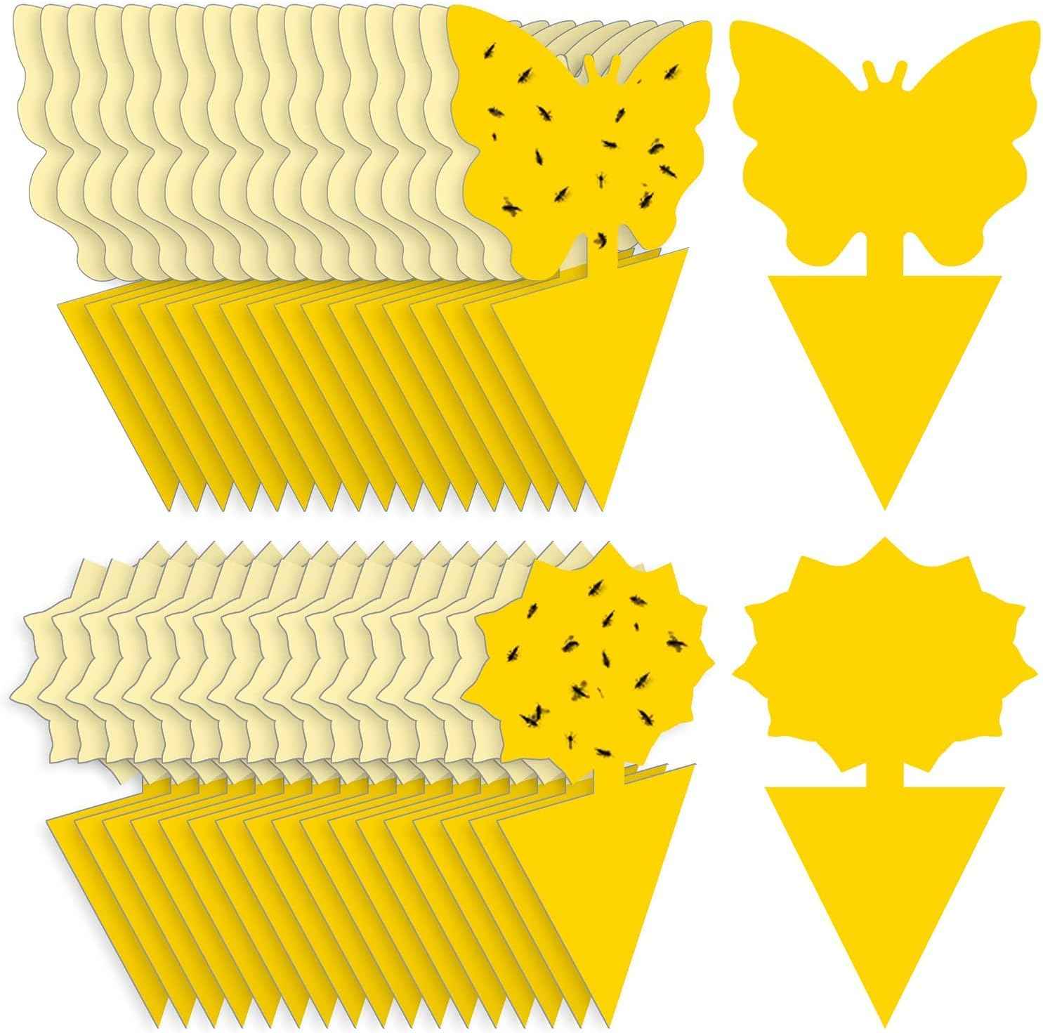 Fruit Fly Traps Fungus Gnat Traps Yellow Sticky Bug Traps 36 Pack No Harm and Odorless for Indoor Outdoor Use Protect The Plant