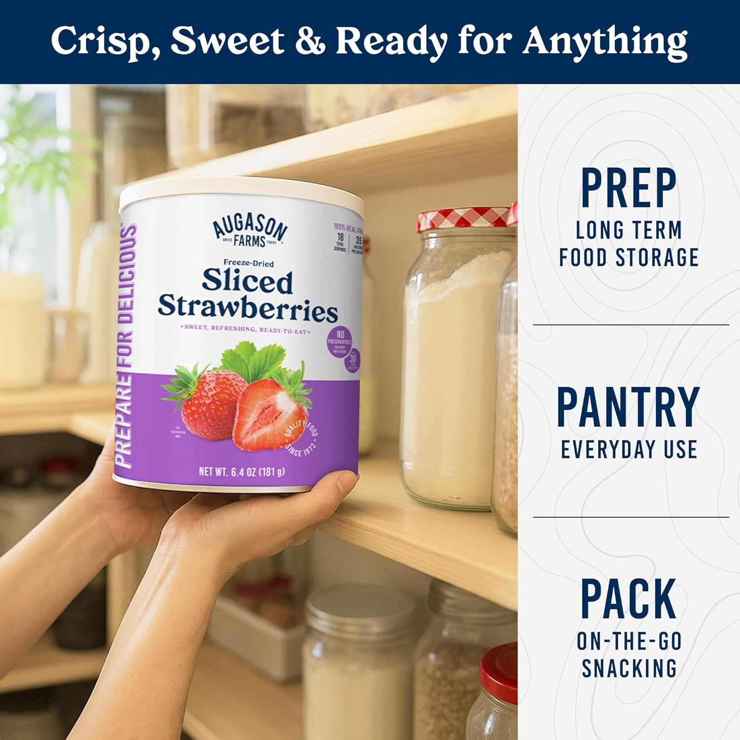 augason-farms-freeze-dried-sliced-strawberries-emergency-food-supply-18-servings