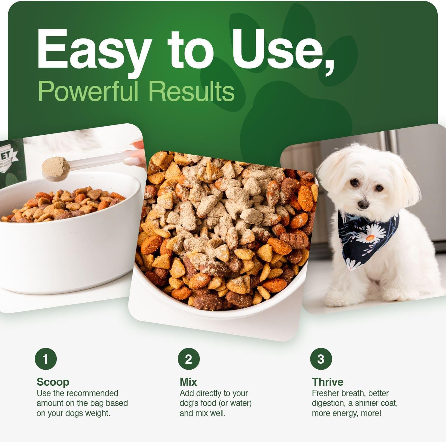 Iron Paws human-grade superfood powder for dogs dental health longevity hip joint gut allergies immune support skin coat 3.5 oz