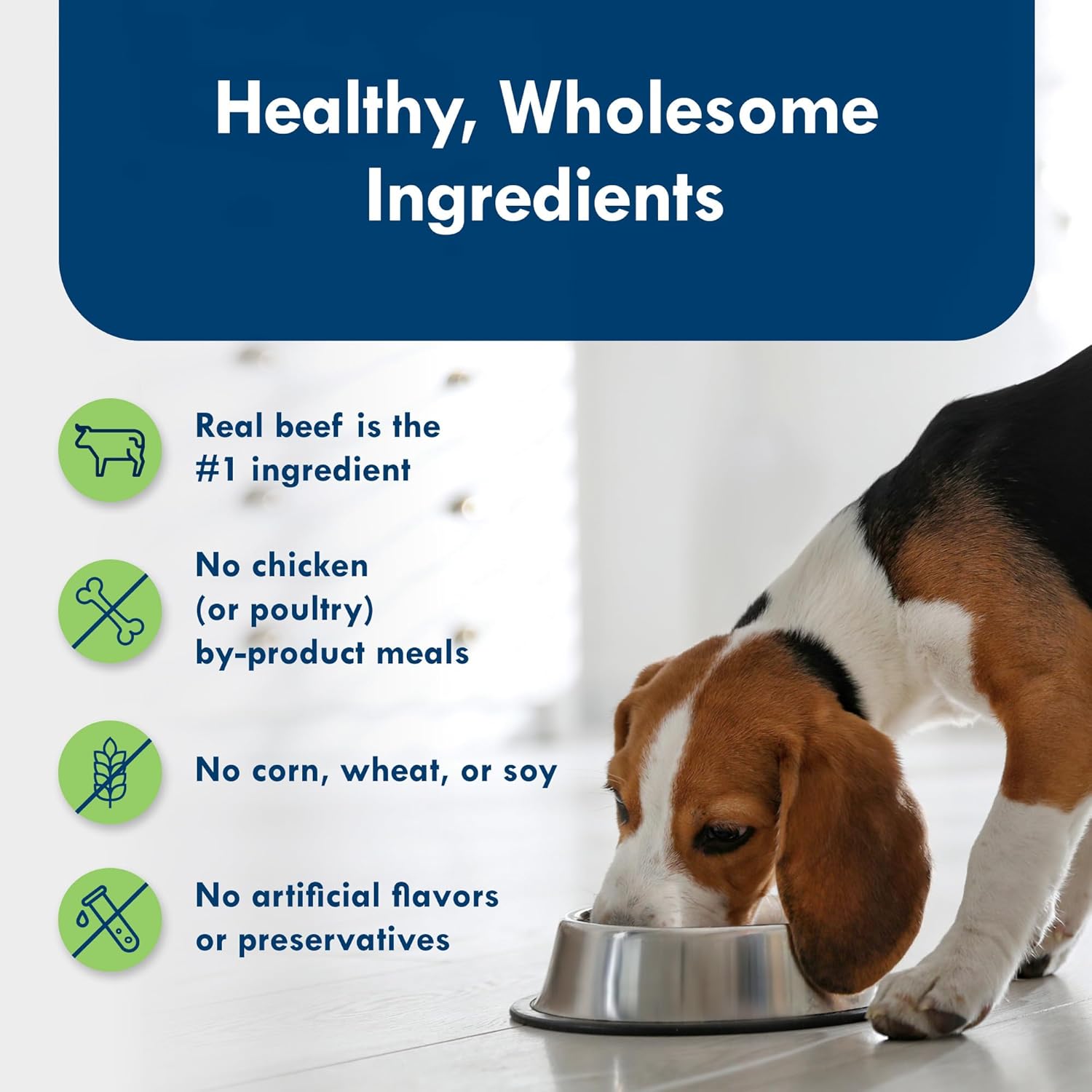 blue buffalo delights natural adult small breed wet dog food, variety pack, made with natural ingredients, filet mignon & new york strip recipe