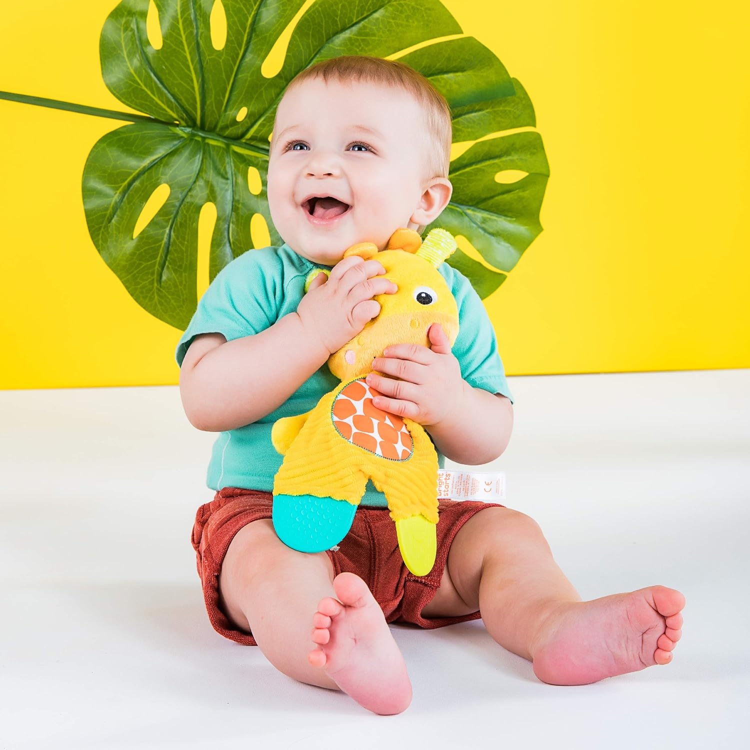 Bright Starts Snuggle & Teethe BPA-Free Crinkle Teething Plush Baby Toy - Giraffe
