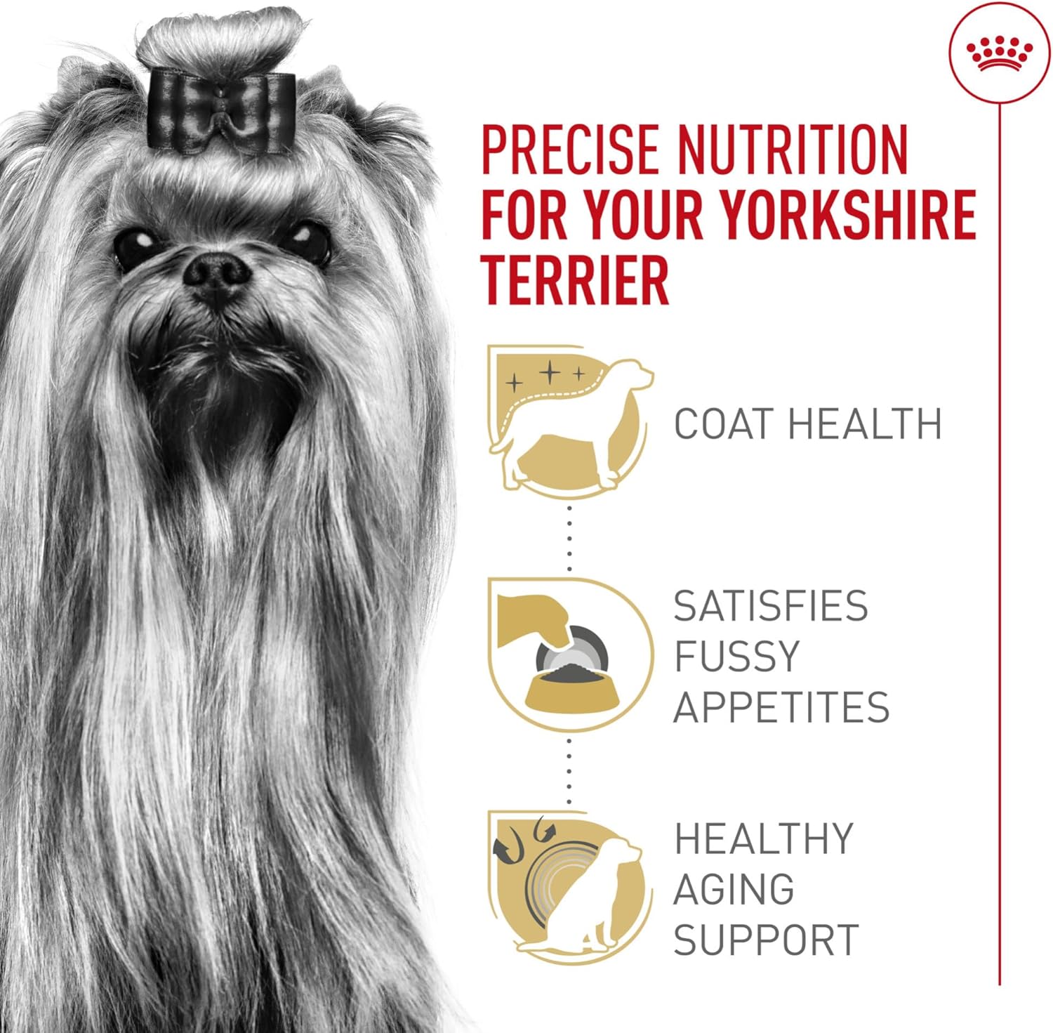 royal-canin-yorkshire-terrier-adult-dry-dog-food-2-5-lb-bag-for-purebred-dogs-10-months-to-8-years
