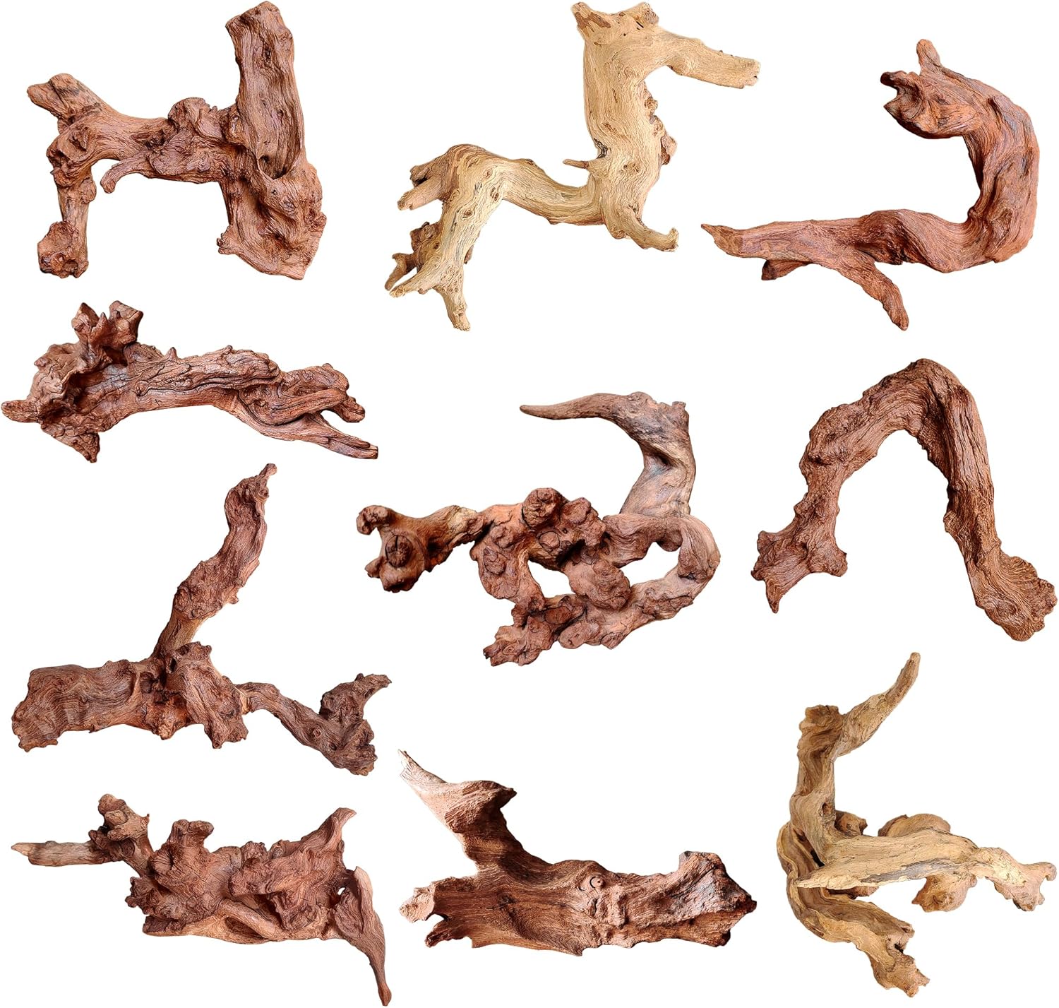 majoywoo Natural Coral Driftwood for Aquarium Decor, Assorted Driftwood Branch 6-10" 3 Pcs, Reptile Decorations