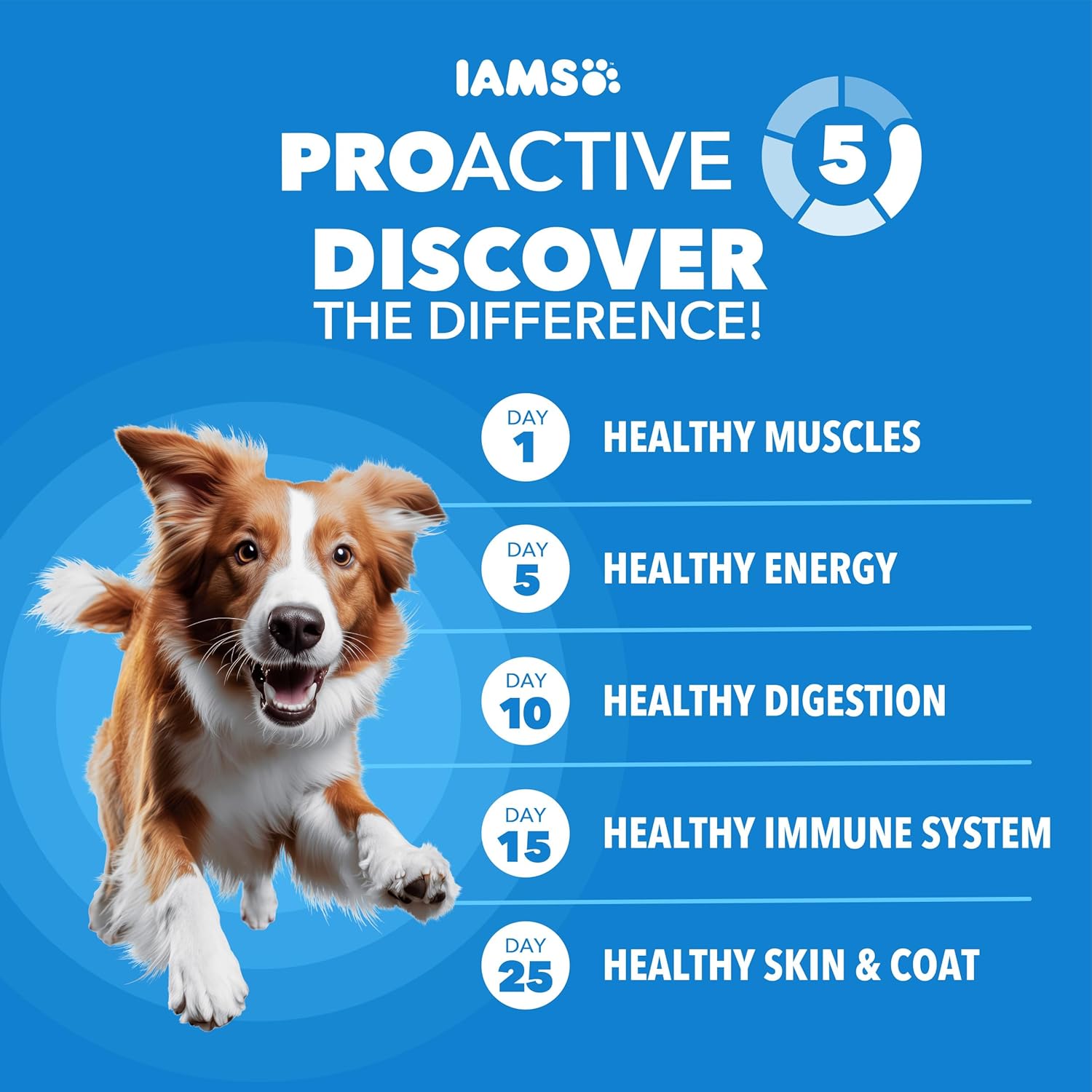 iams proactive health dry dog food adult weight management chicken 29.1 lb bag