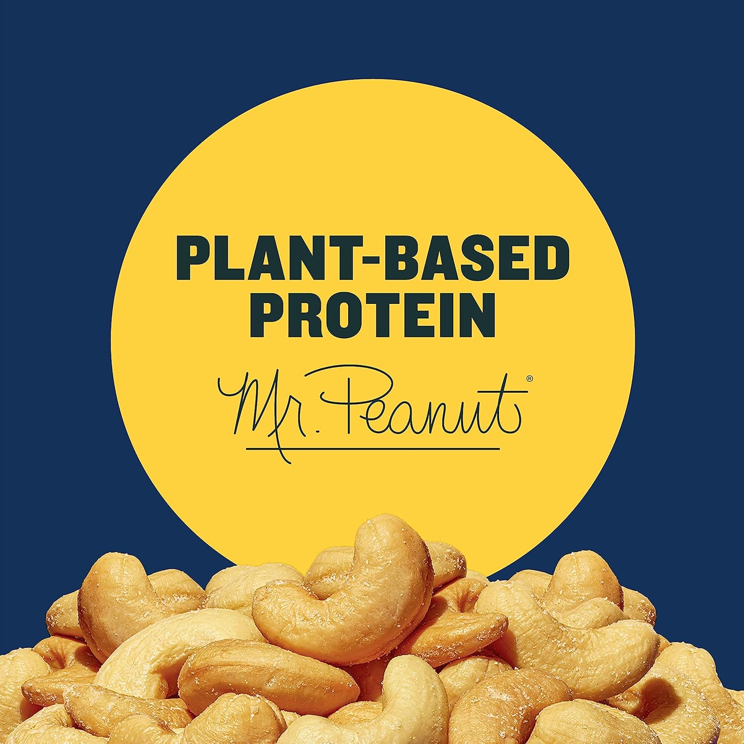 planters deluxe salted whole cashews 1 lb 2.25oz canister bulk nuts kosher