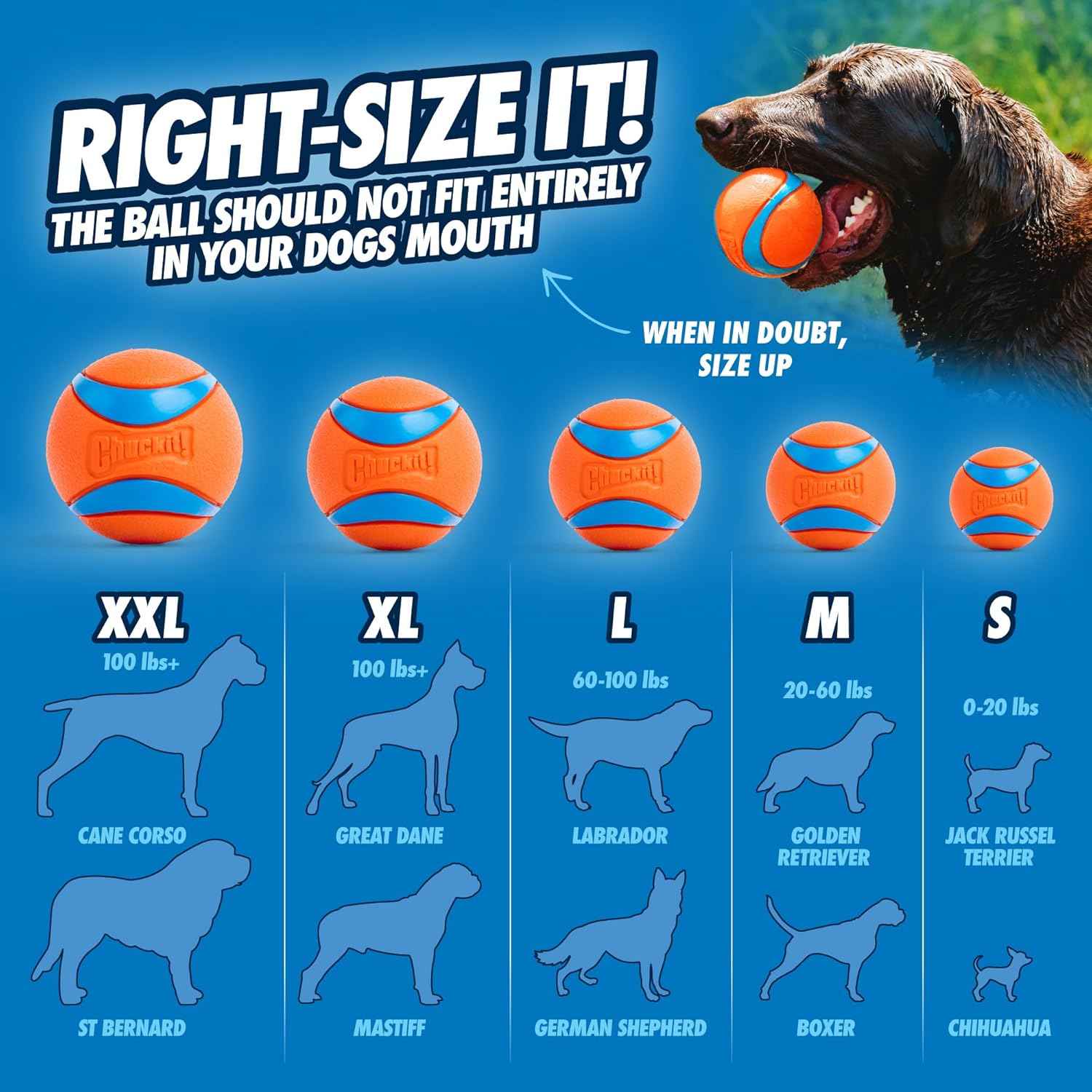 Chuckit! Ultra Ball Dog Toy - Medium Bouncy Fetch Balls For Dogs 20-60 lbs - Made from Durable Rubber - Floating Water Pet Toys - Size Medium - 2.5-inch Diameter - Pack of 2