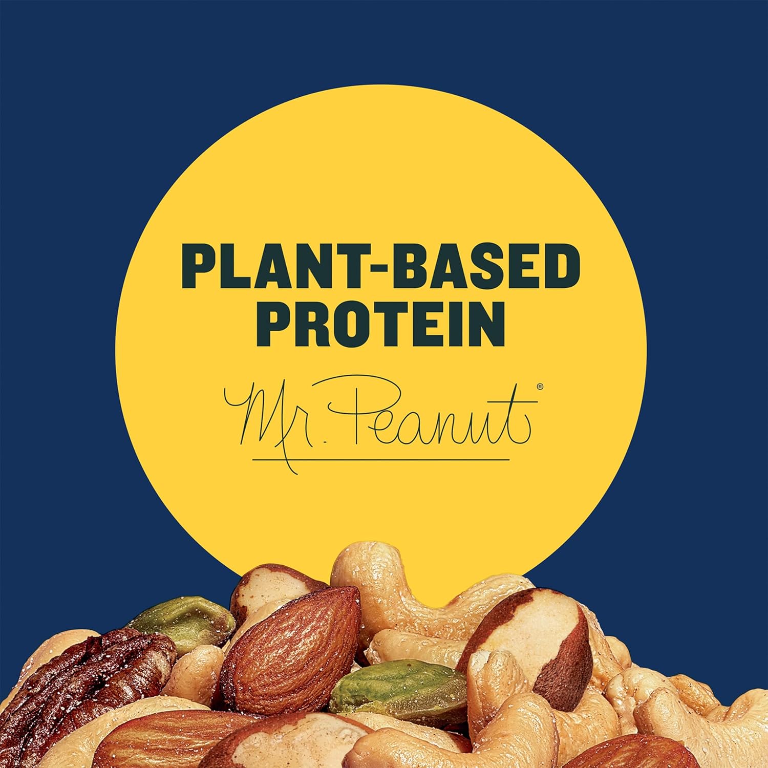 planters pistachio nuts lovers nut mix with pistachios, almonds, and cashews 1lb 2.5oz bulk kosher