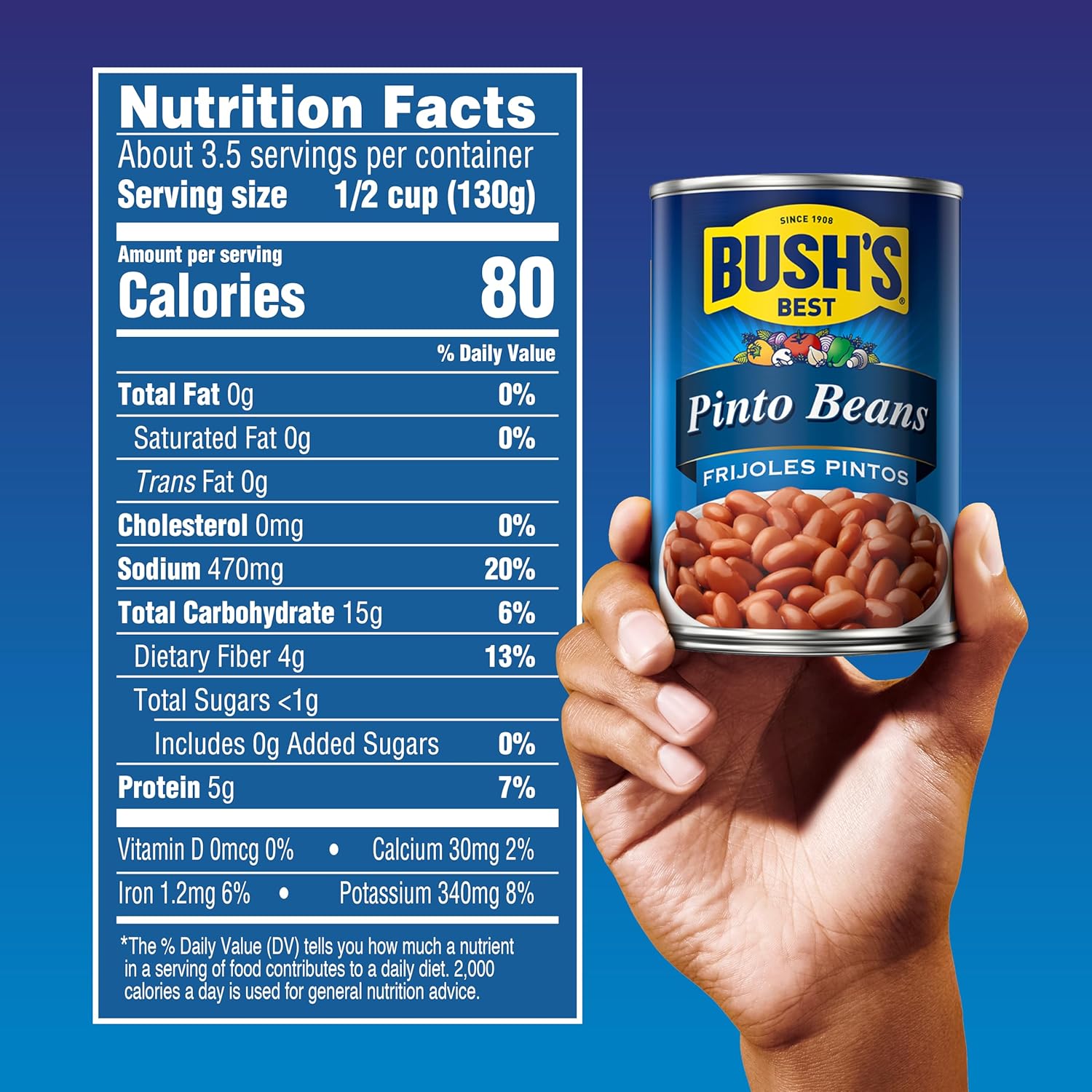 Bush's Best 16 oz Canned Pinto Beans, low fat and gluten free, great for soups, salads and plant-based meals, pack of 12