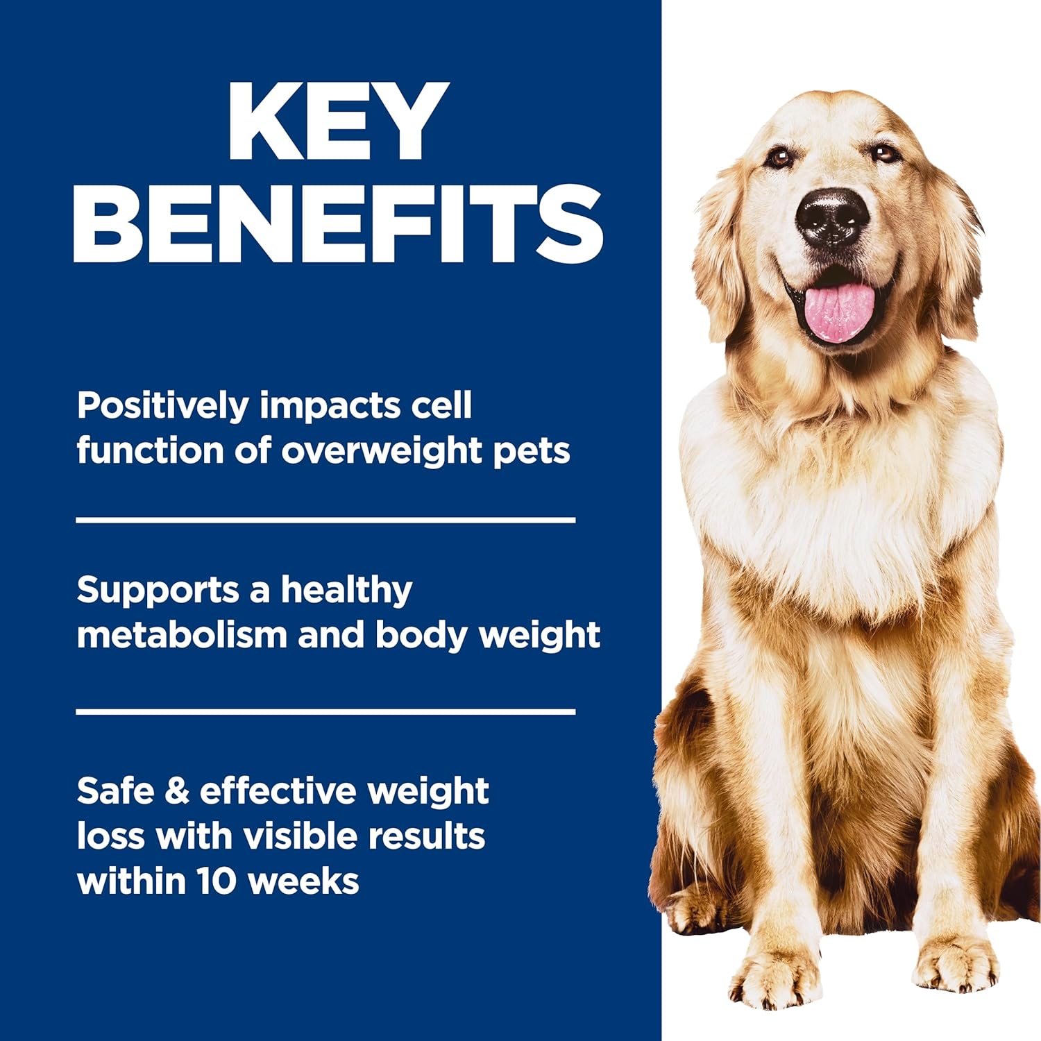 Hills Science Diet Adult Perfect Weight Dry Dog Food, 25 lb, Chicken & Brown Rice