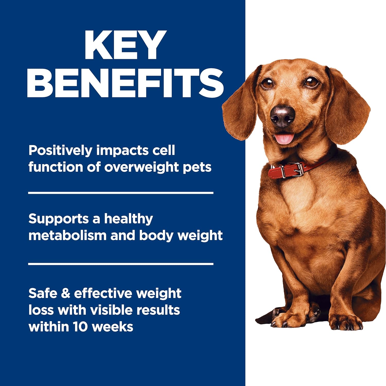 Hill's Science Diet Adult Perfect Weight Small & Mini Dry Dog Food, 4 lb. Bag with Chicken