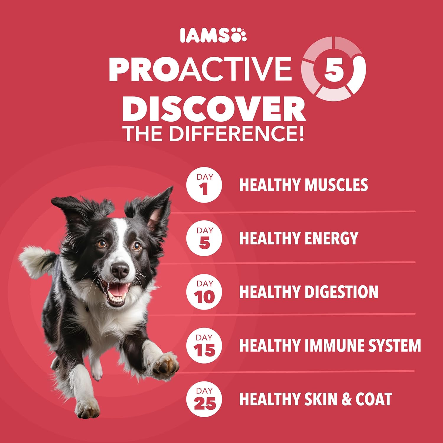 iams-proactive-health-minichunks-adult-dry-dog-food-30-lb-bag-lamb-rice