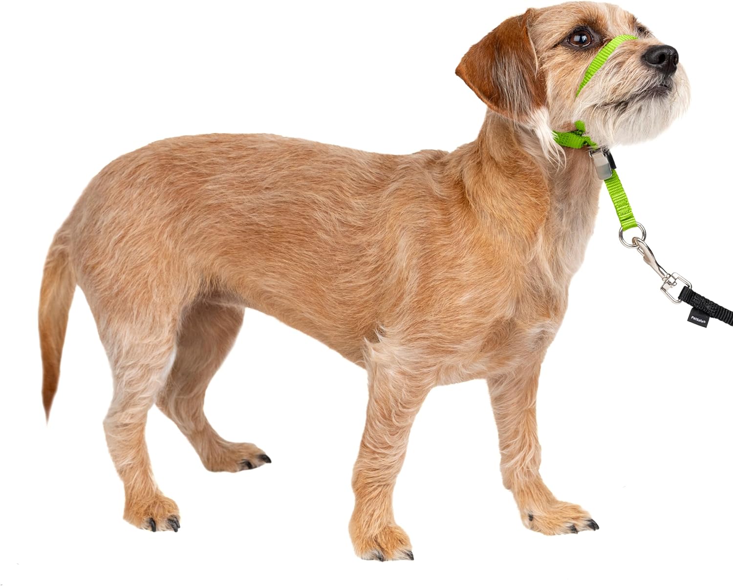 PetSafe Gentle Leader Headcollar - No-pull dog collar for medium black size - Durable nylon construction - Adjustable fit