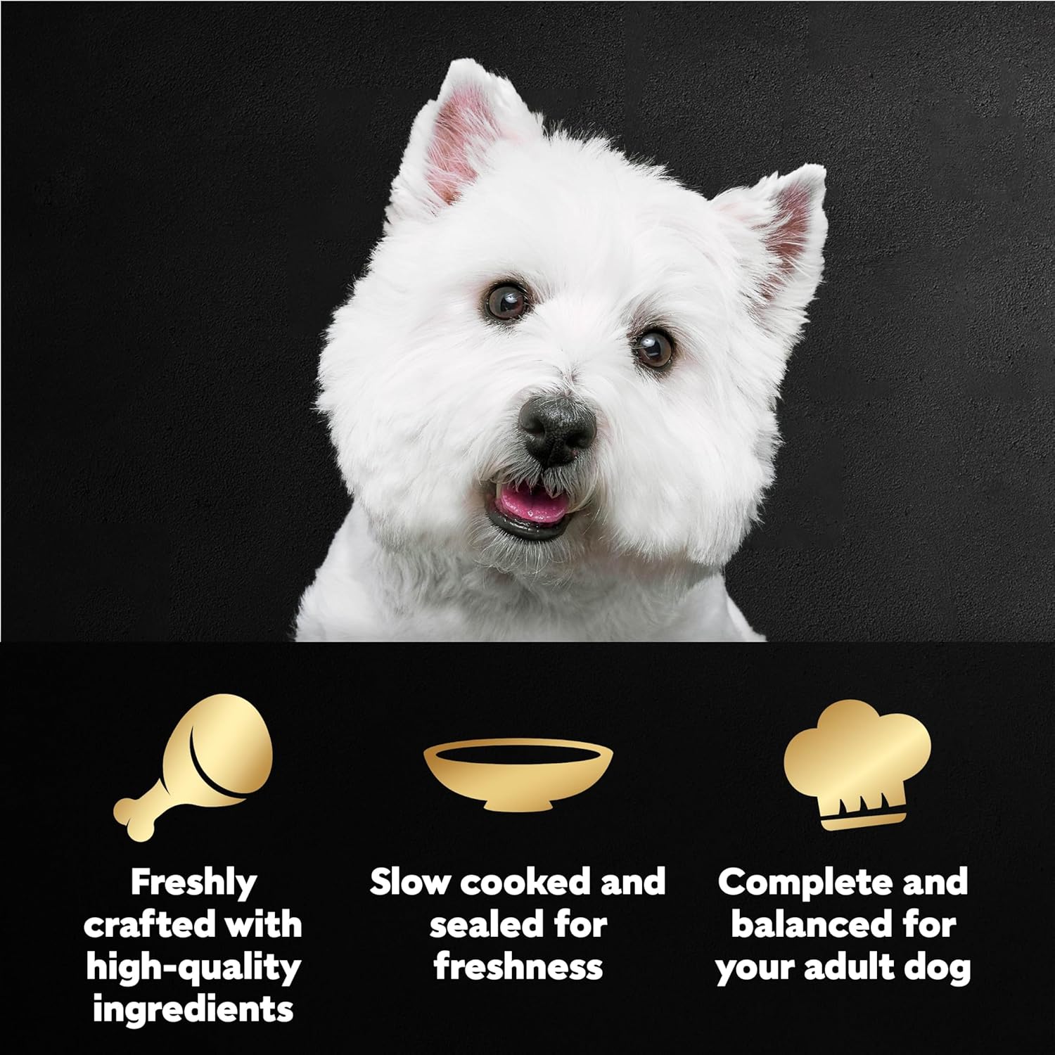 cesar filets in gravy wet dog food rotisserie chicken flavor, filet mignon flavor, and wood-grilled chicken variety pack for adult dogs