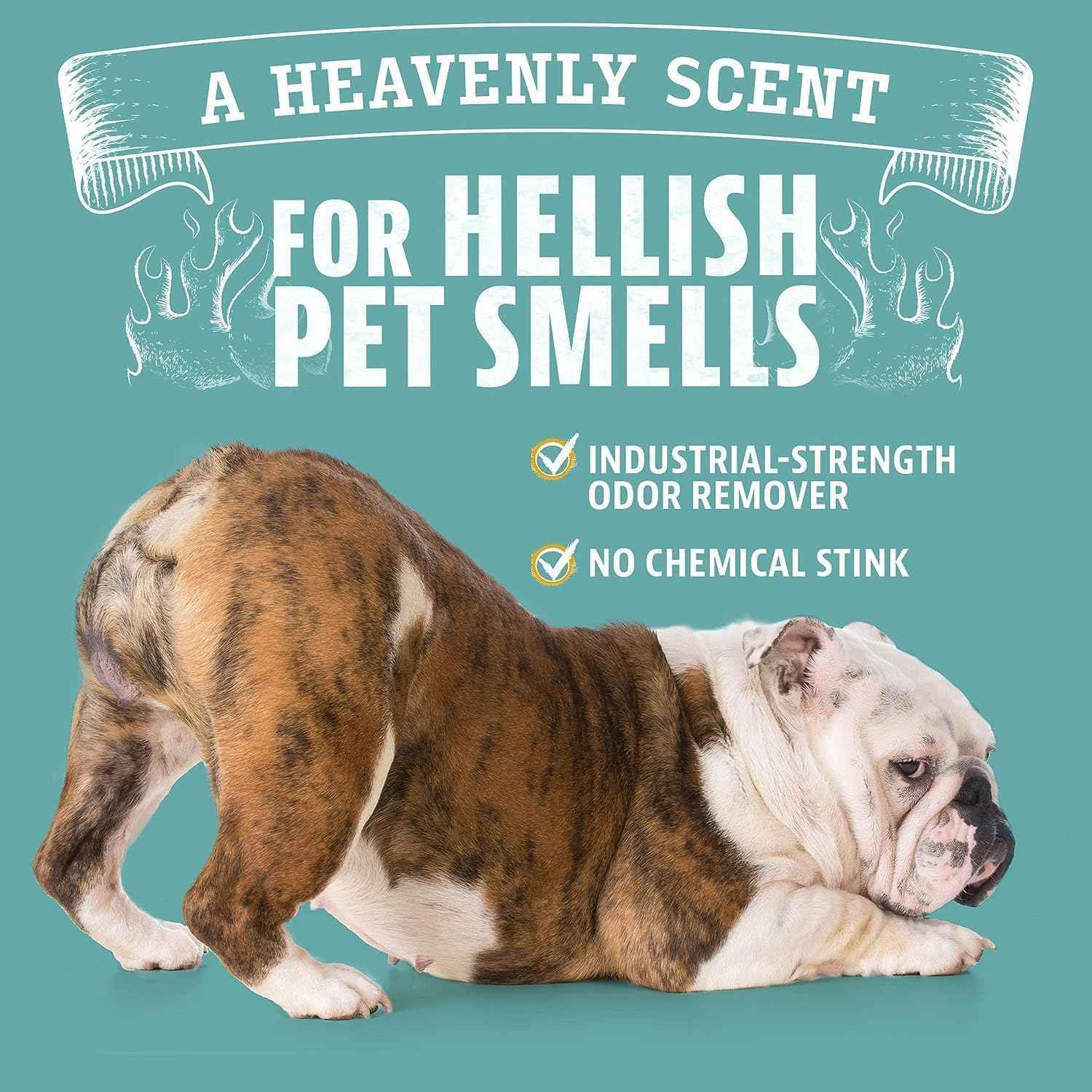 Angry Orange Pet Odor Eliminator with Natural Orange Oil – Powerful Odor Neutralizer for Cat & Dog Urine, Litter Box, Carpet, Furniture, Hard Floors - No Harsh Chemicals - Citrus Scent, 24 oz