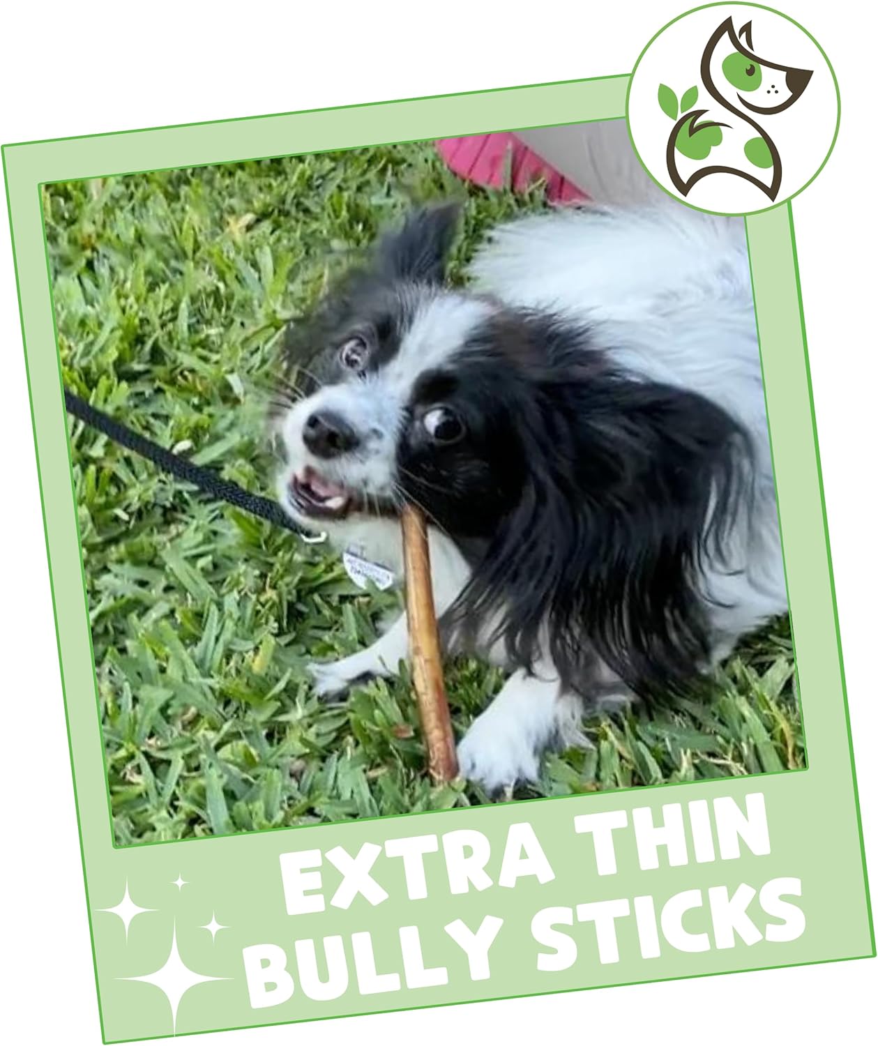 nature gnaws extra thin bully sticks for small dogs 5-6 inch long lasting natural beef dog chew bones for puppies and seniors
