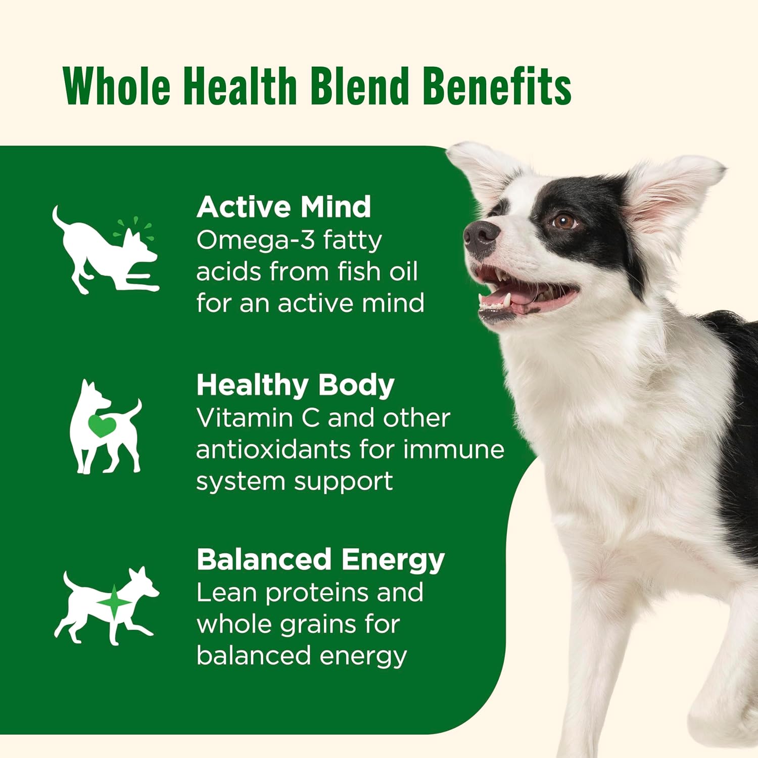Rachael Ray Nutrish Dry Dog Food Real Chicken & Veggies Recipe Whole Health Blend, 40 lbs for Adult Dogs