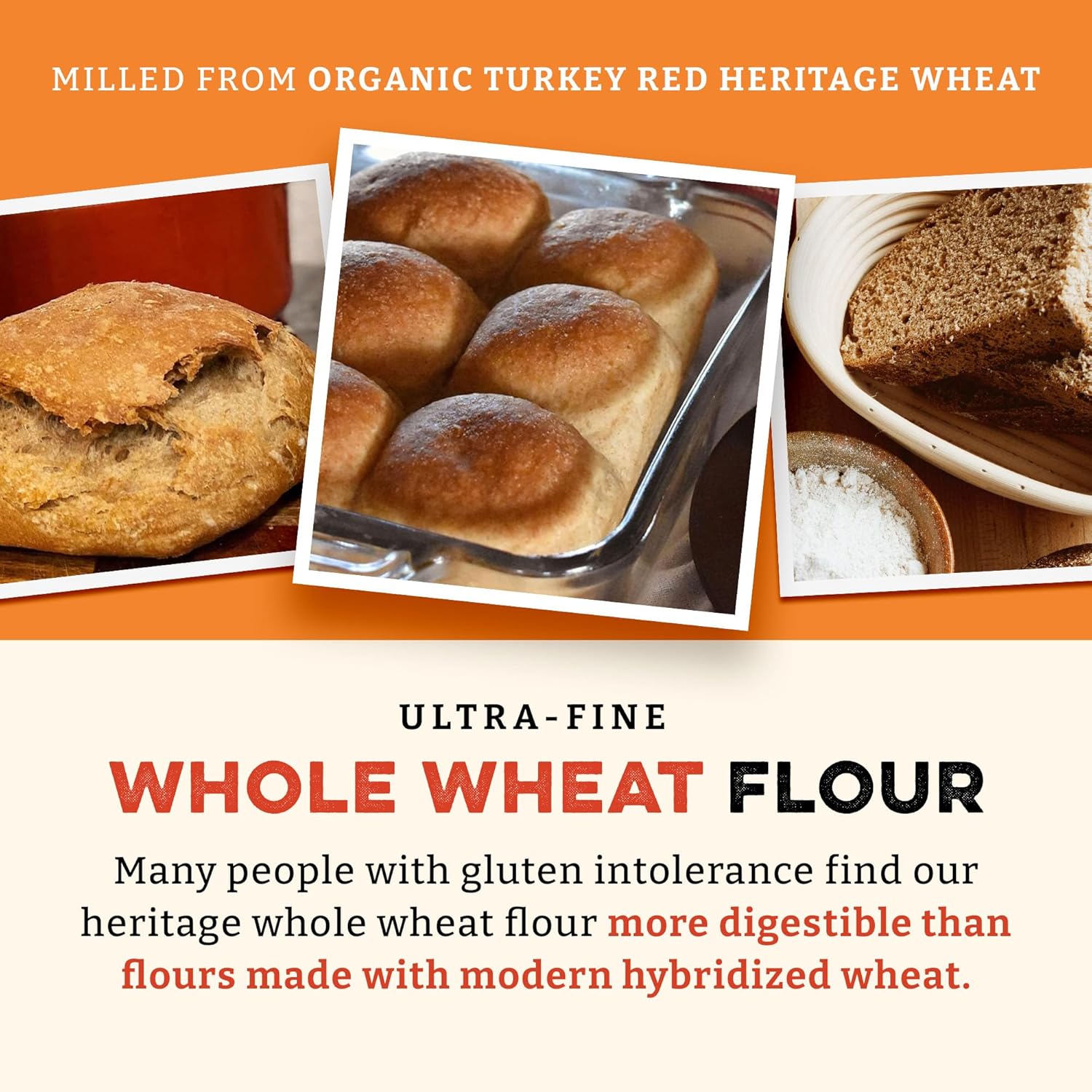 Sunrise Heritage Organic Whole Wheat Flour, 5 lbs, Red Hard Wheat, USDA Organic, No Bleaching, Easy Digestion